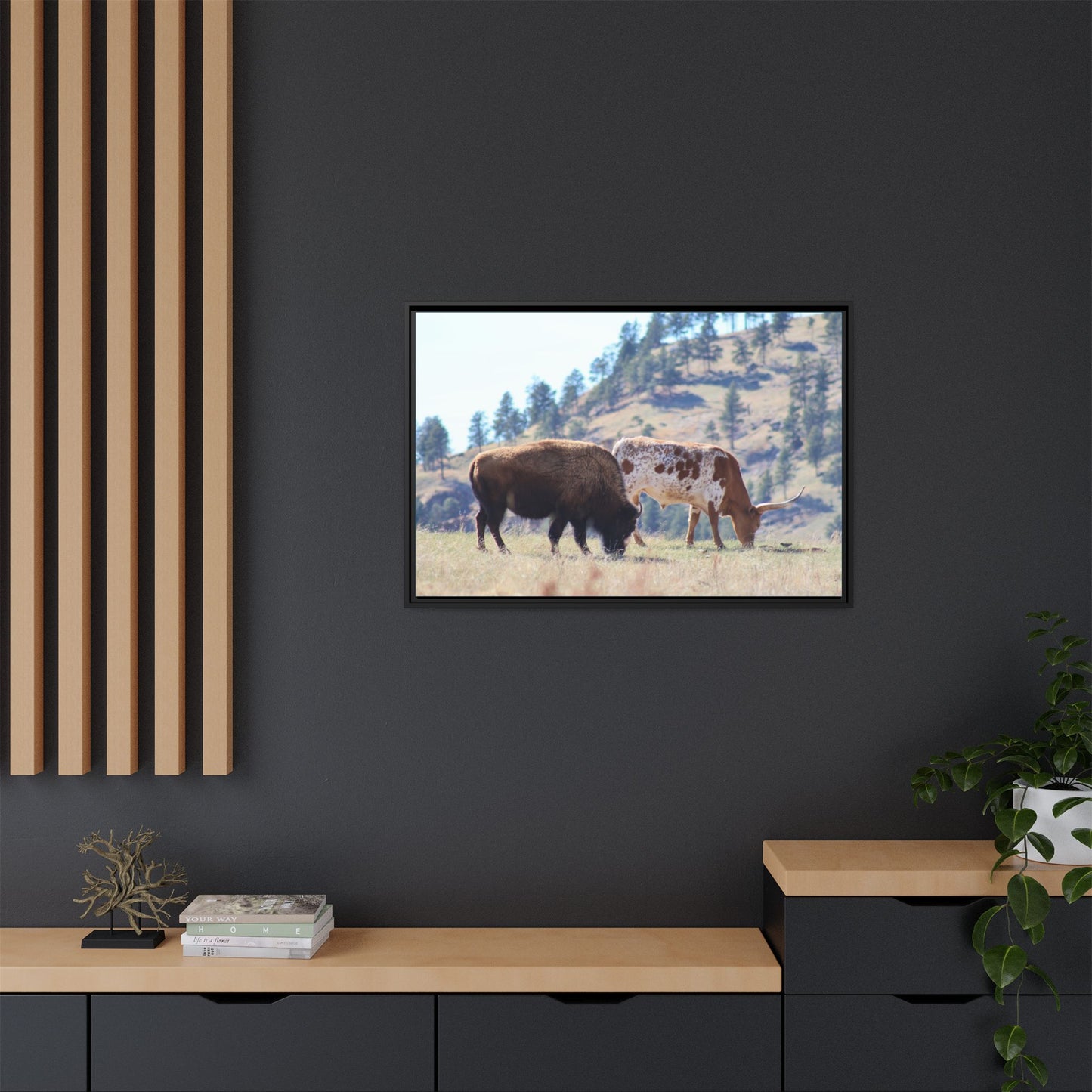 Long Horn and Buffalo Framed Canvas
