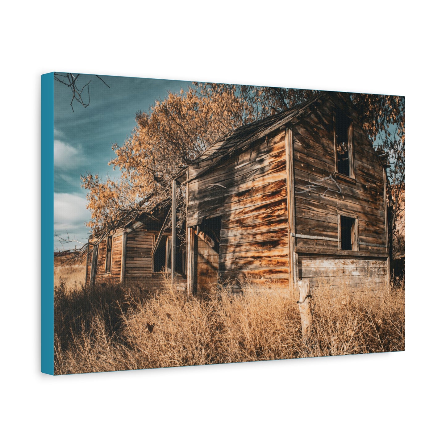 Vintage Cottage Canvas