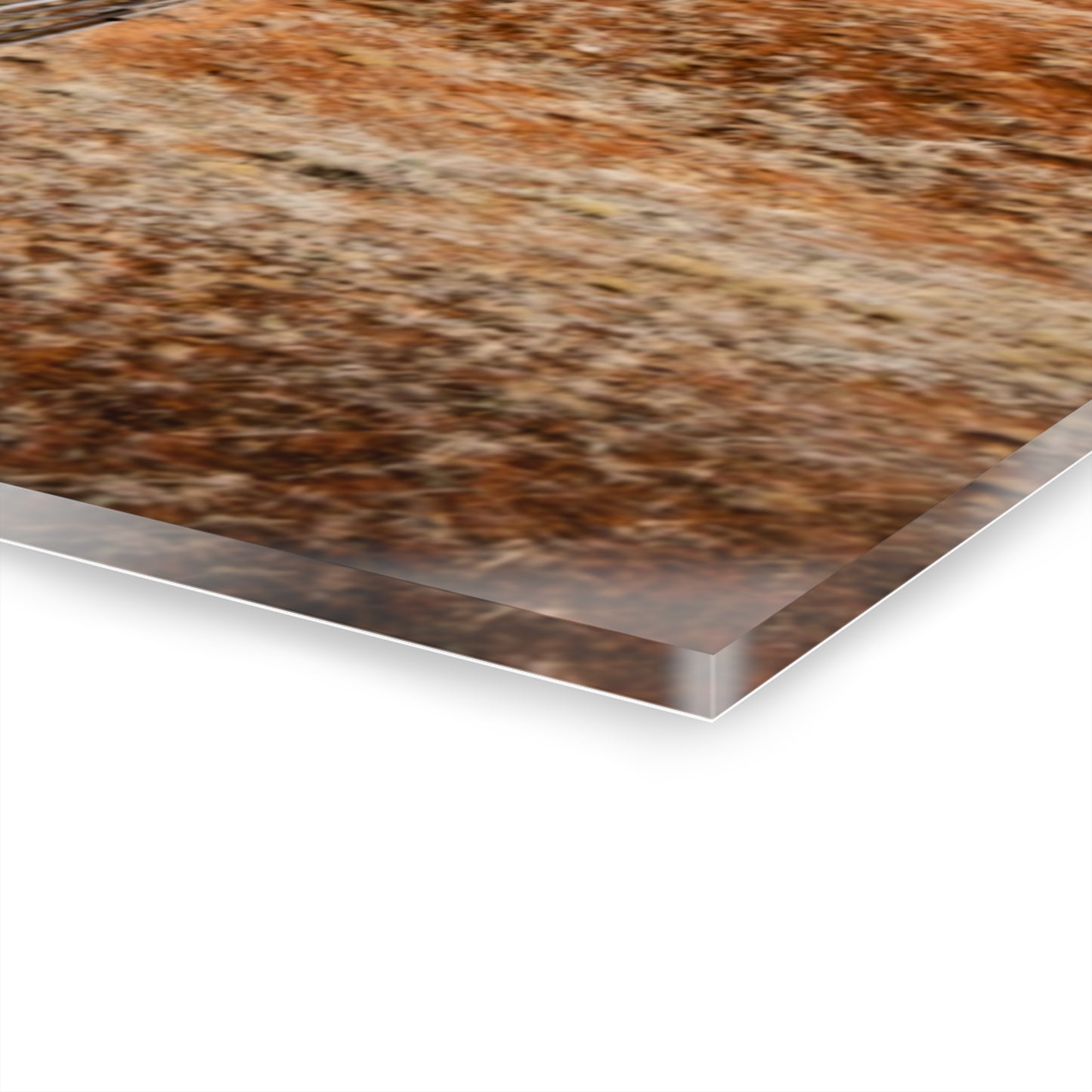 Rustic Fence Landscape Acrylic