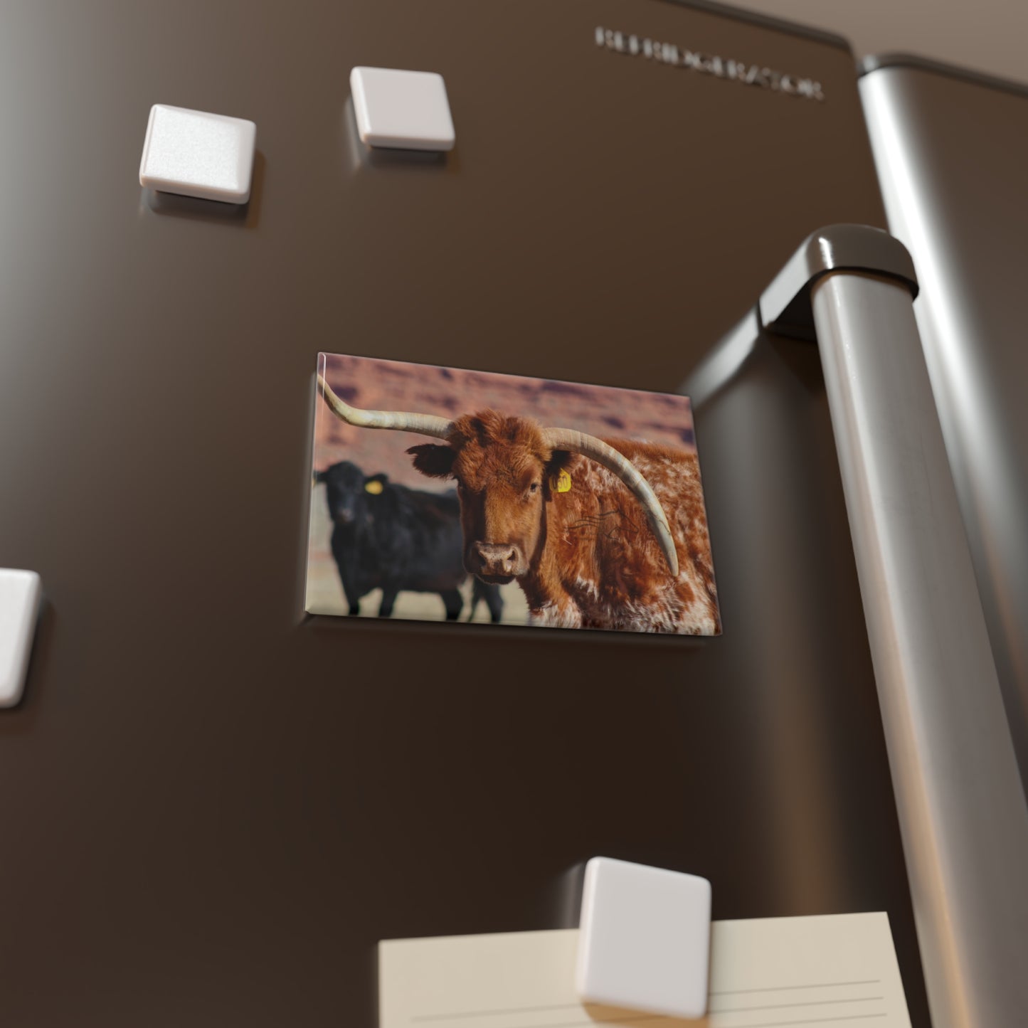 Mismatch Longhorn Magnet