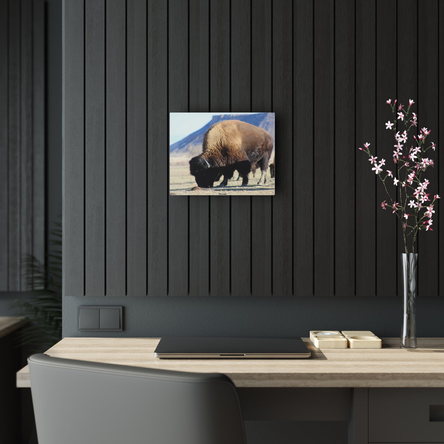 Big Daddy Buffalo Acrylic Prints