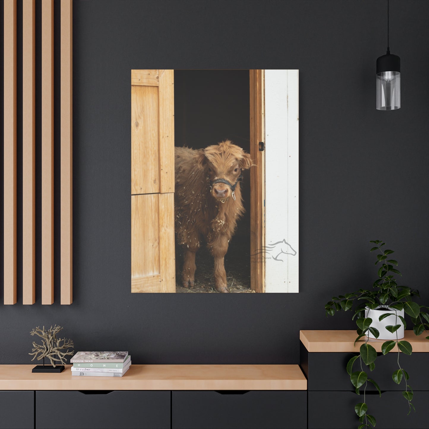 Little Highlander Canvas