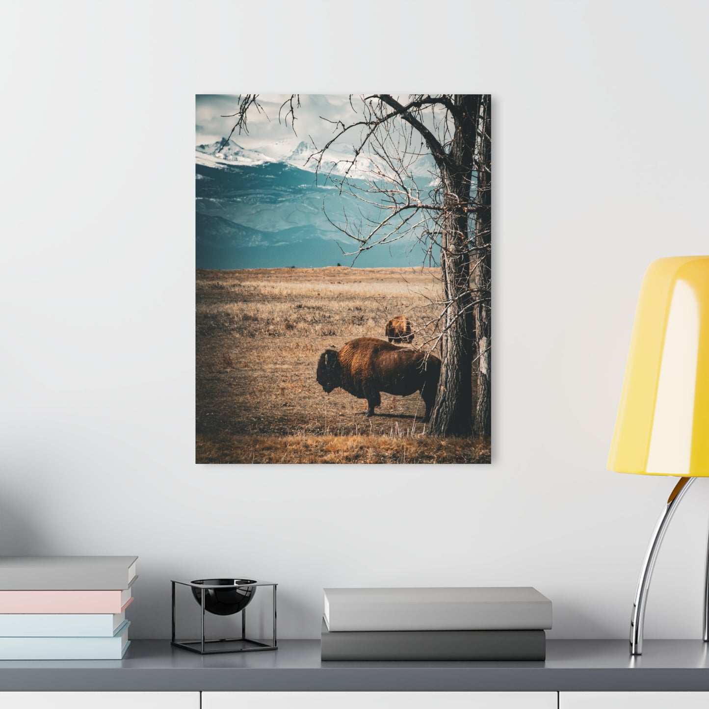 Rustic Bison Mountain Acrylic