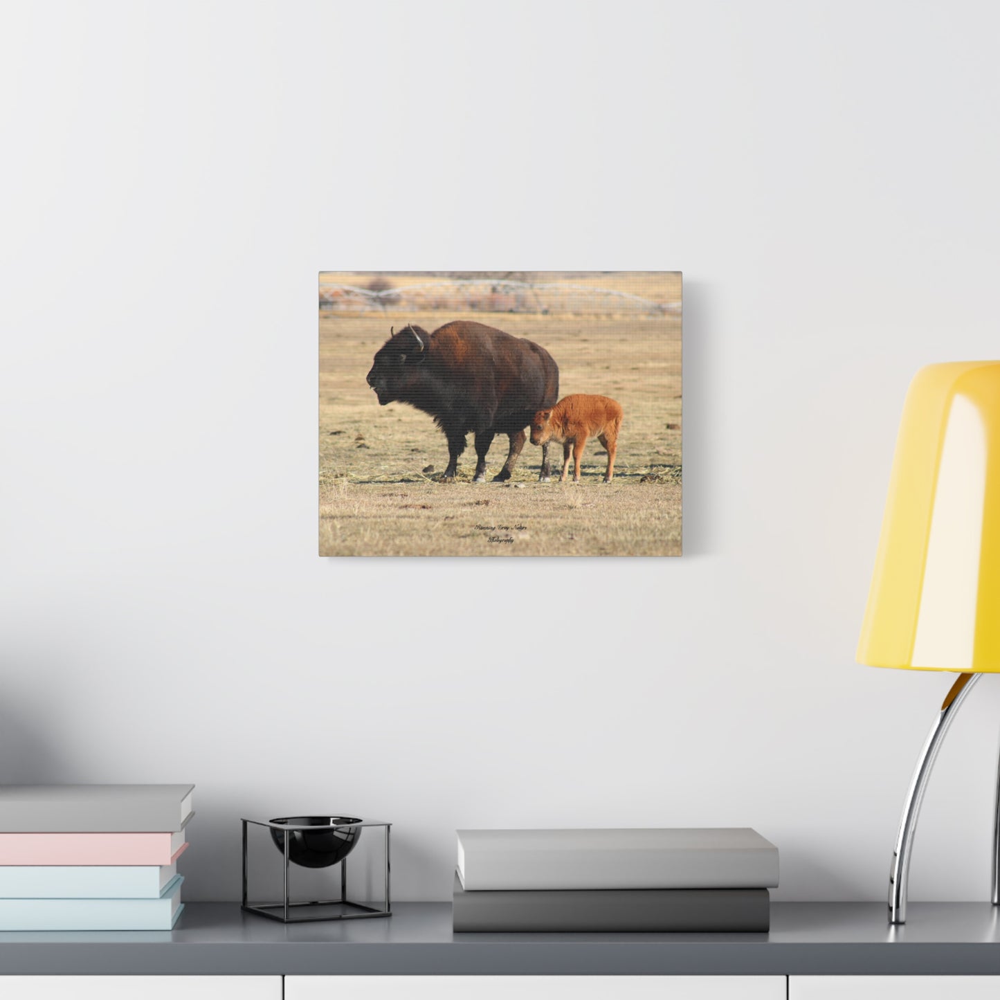 Momma and Baby Buffalo Matte Canvas, Stretched, 1.25"