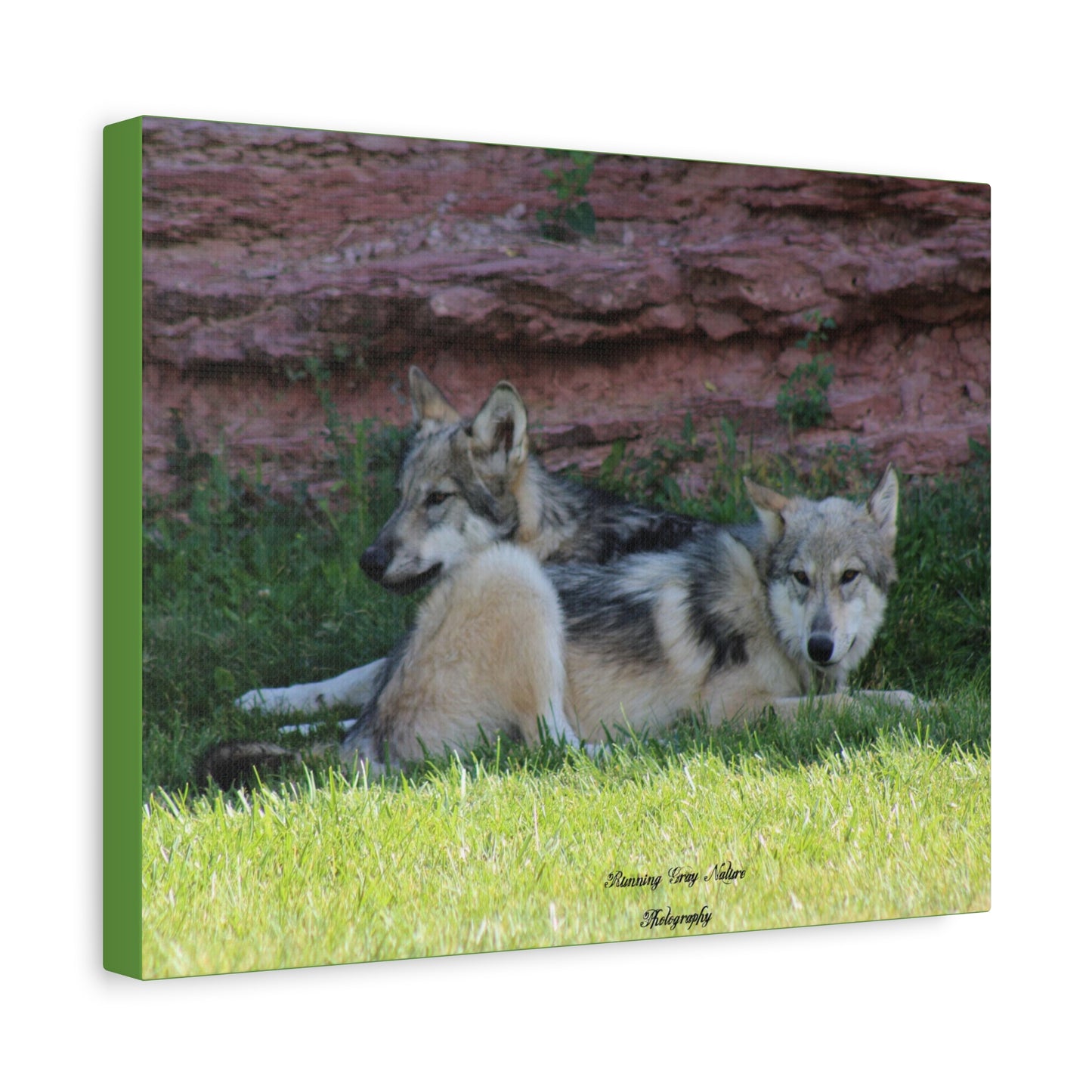 Wolves Matte Canvas, Stretched, 1.25"