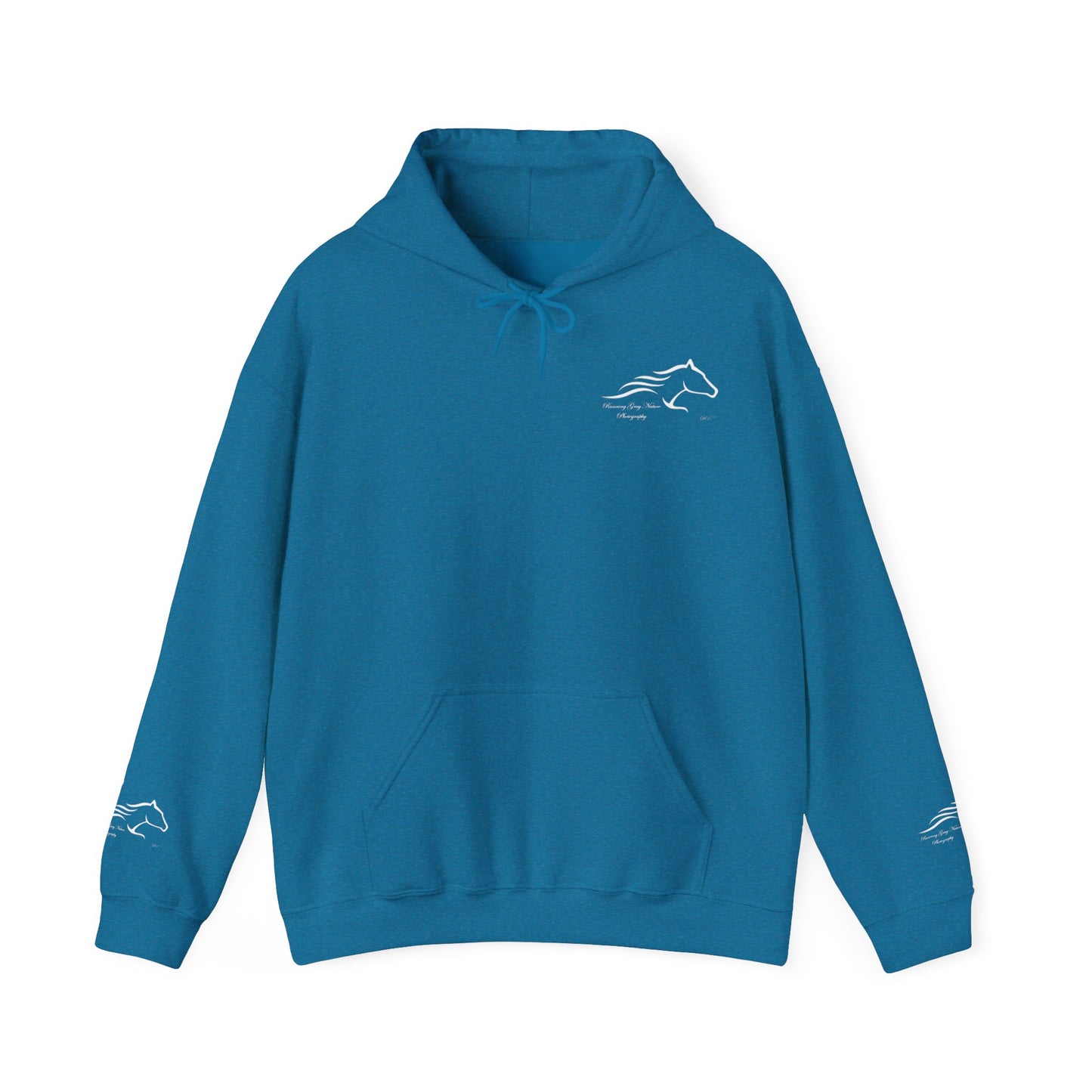 Bald Eagle Hoodie