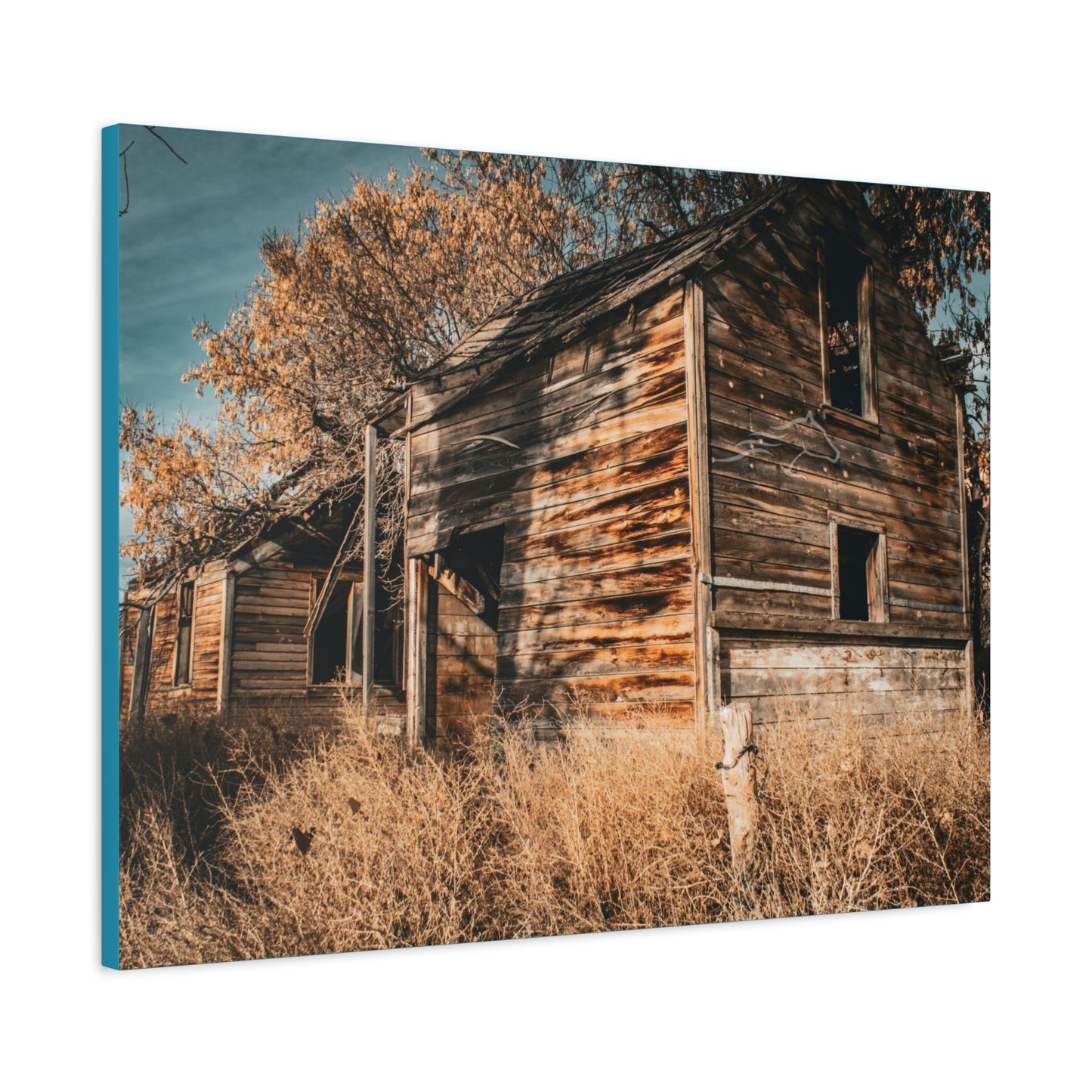 Vintage Cottage Canvas