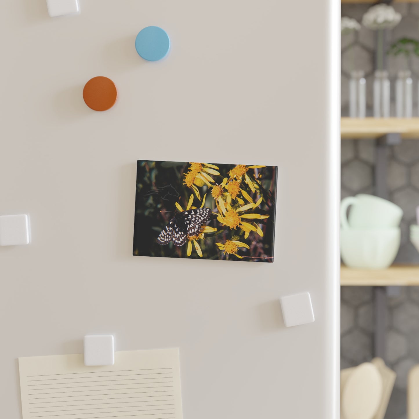 Butterfly Bloom Magnet