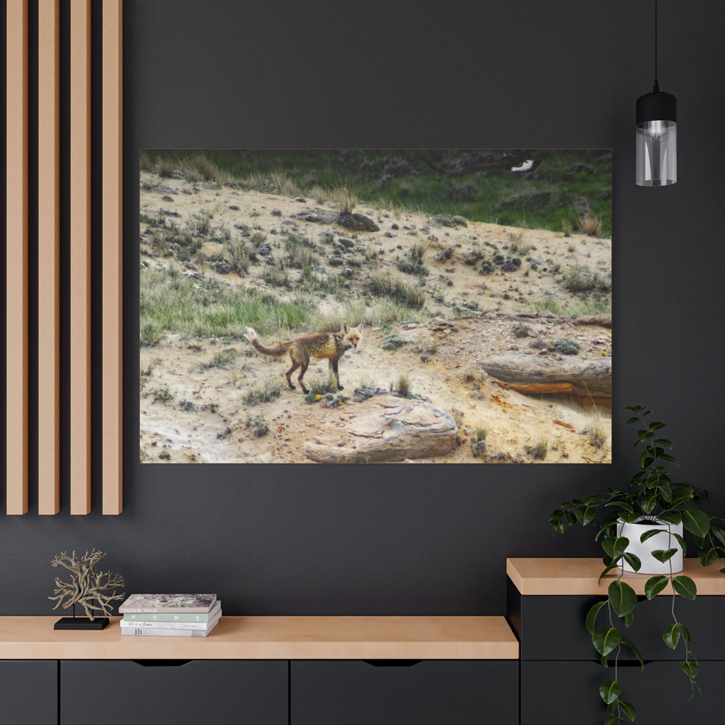 Swift fox and an Eagle