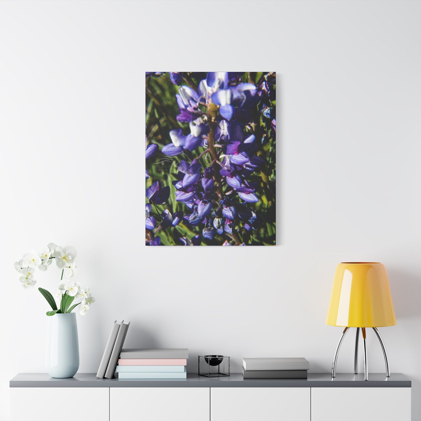 Arctic Lupine Canvas
