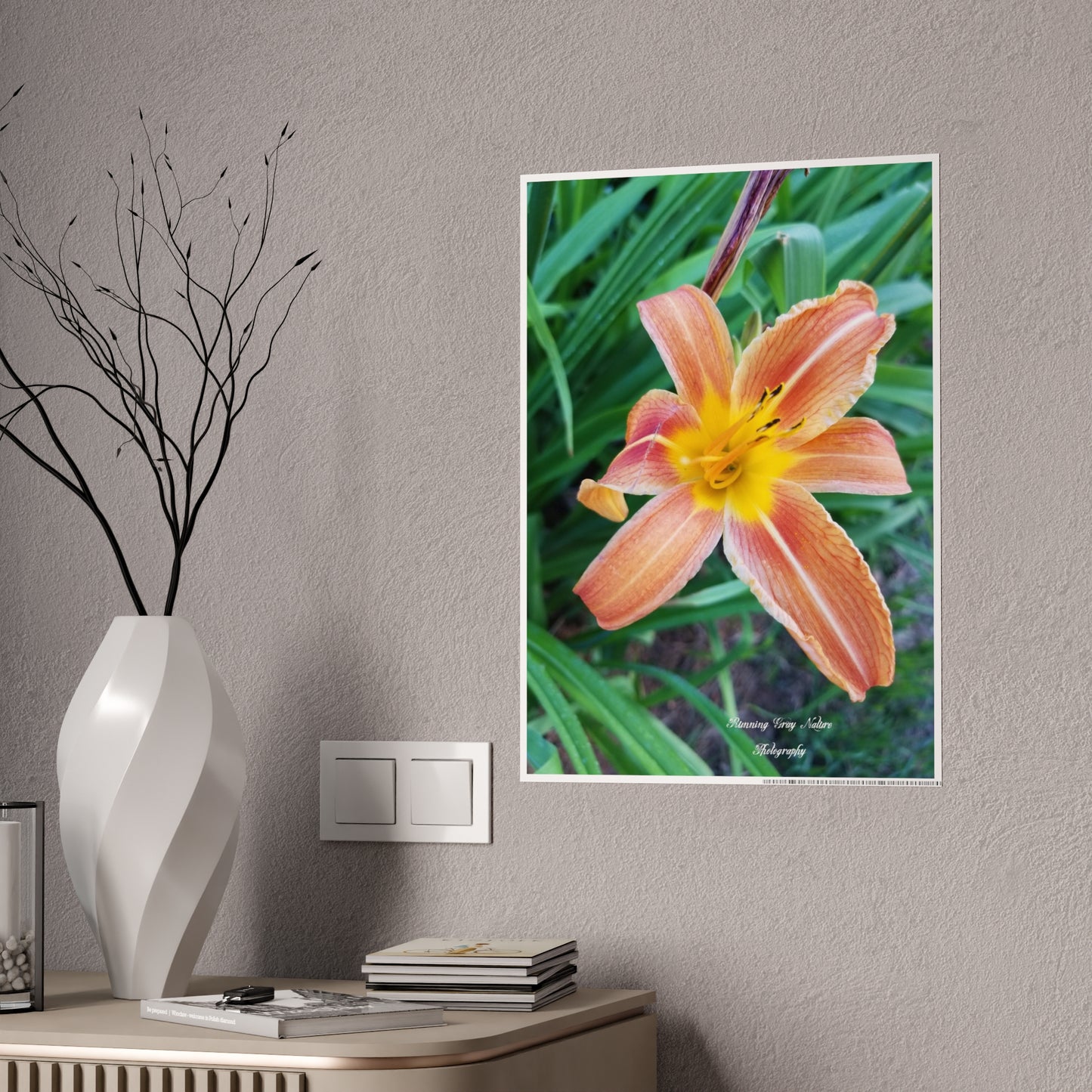 Posters Board Orange Day Lily