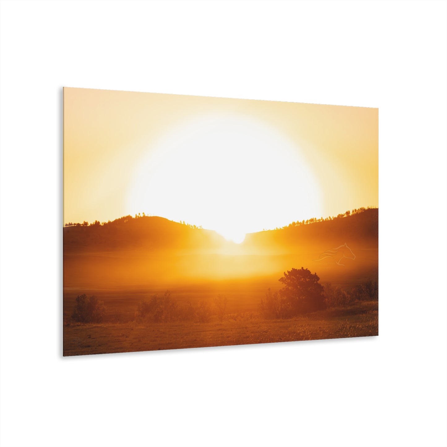 Buffalo Round Up Sunrise Acrylic