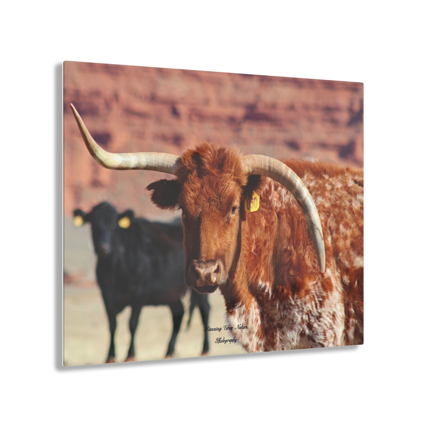 Mismatch Long Horn Acrylic Prints