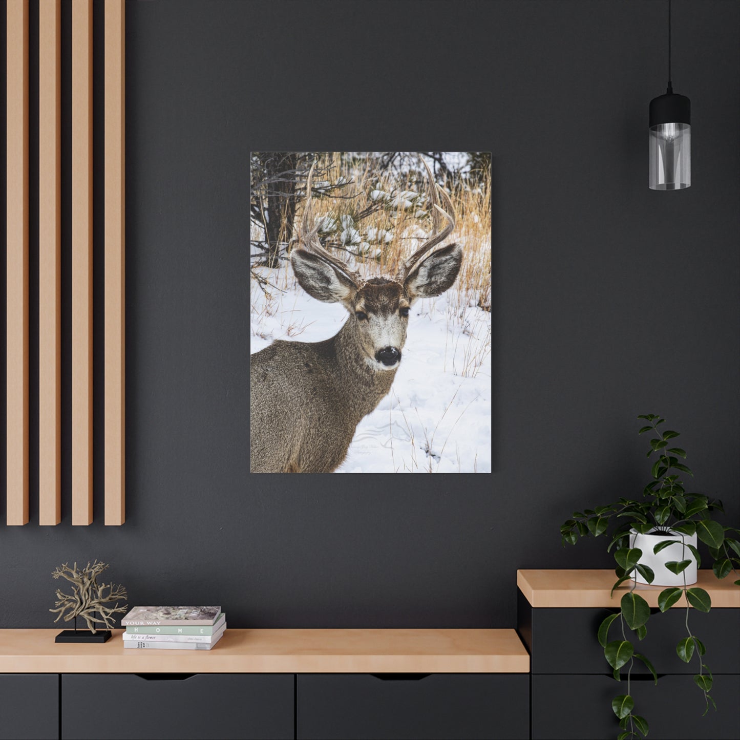 Deer Antlers in February Canvas