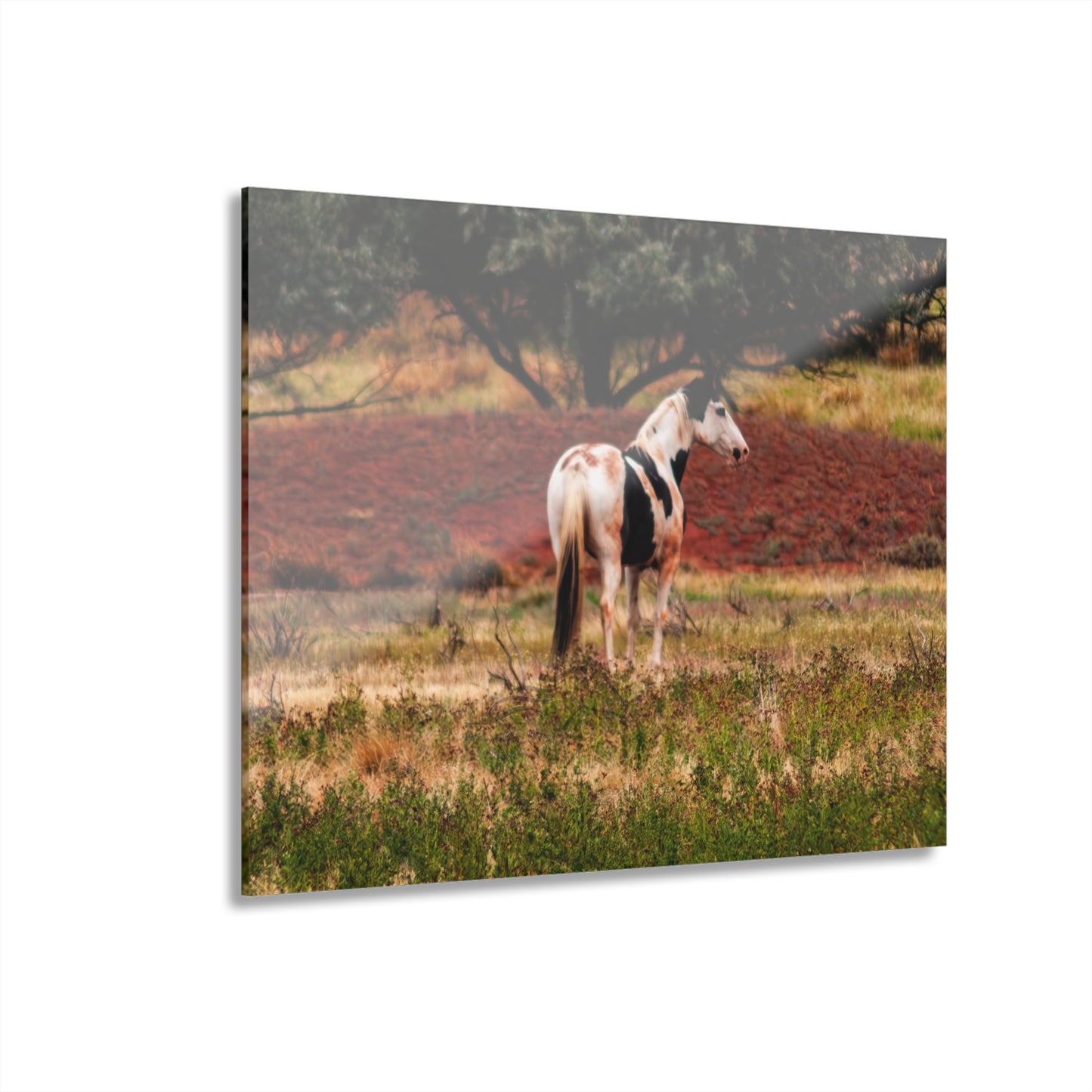 Painted Horse Acrylic