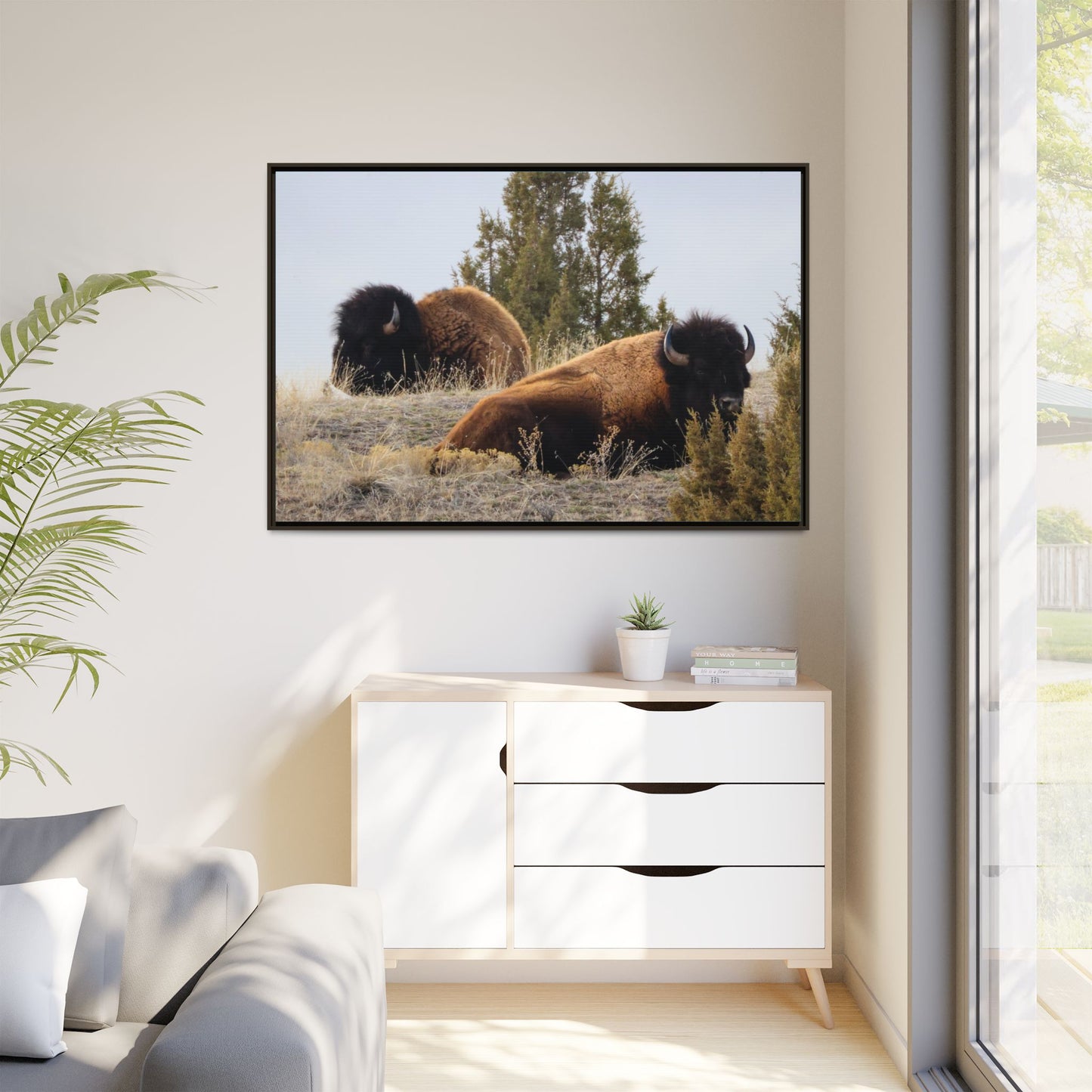 Two Bull Buffalo Framed Canvas