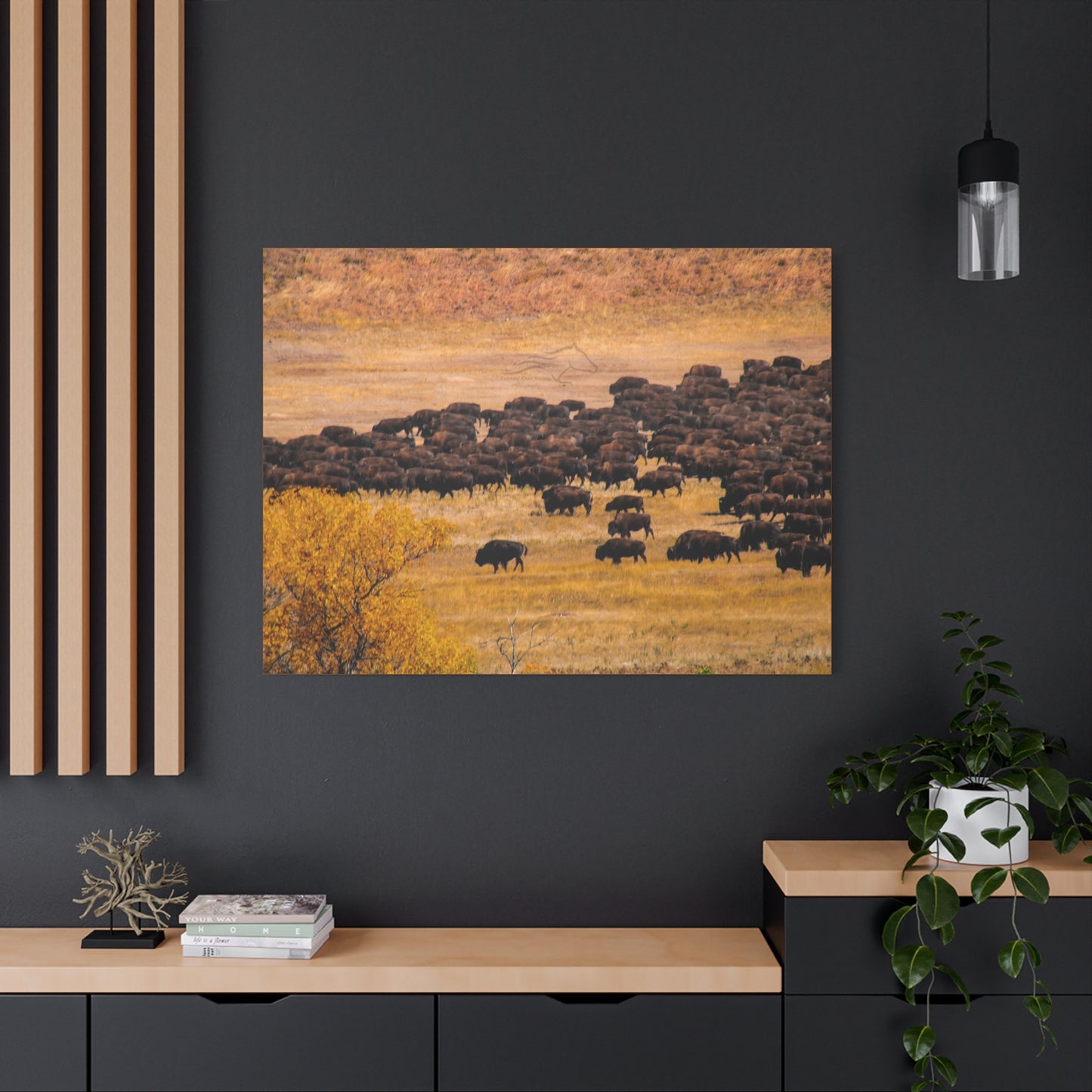 Buffalo all Gathered Canvas