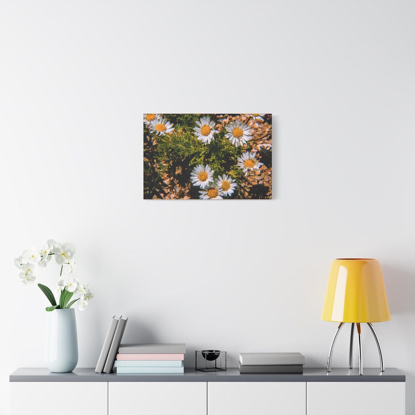 Wild Daisy Canvas