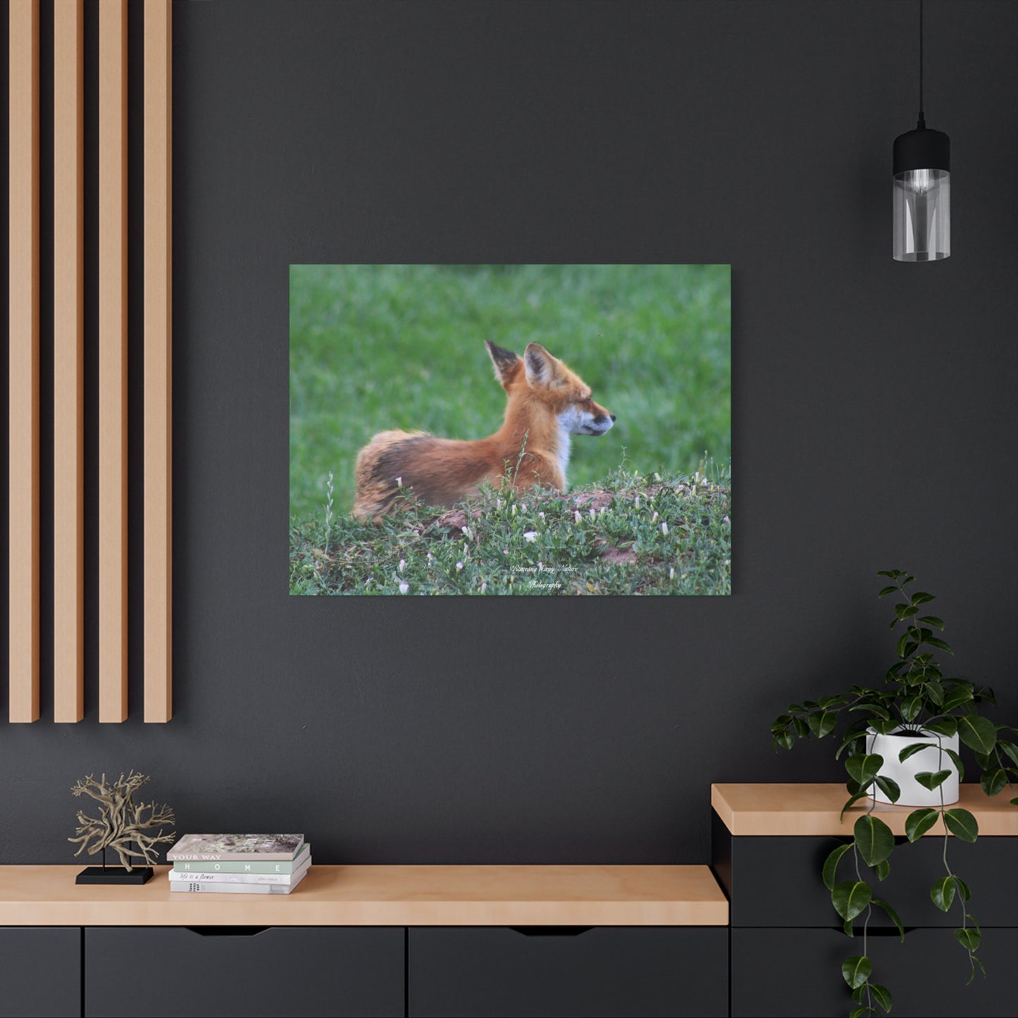 Red Tail Fox Matte Canvas, Stretched, 1.25"