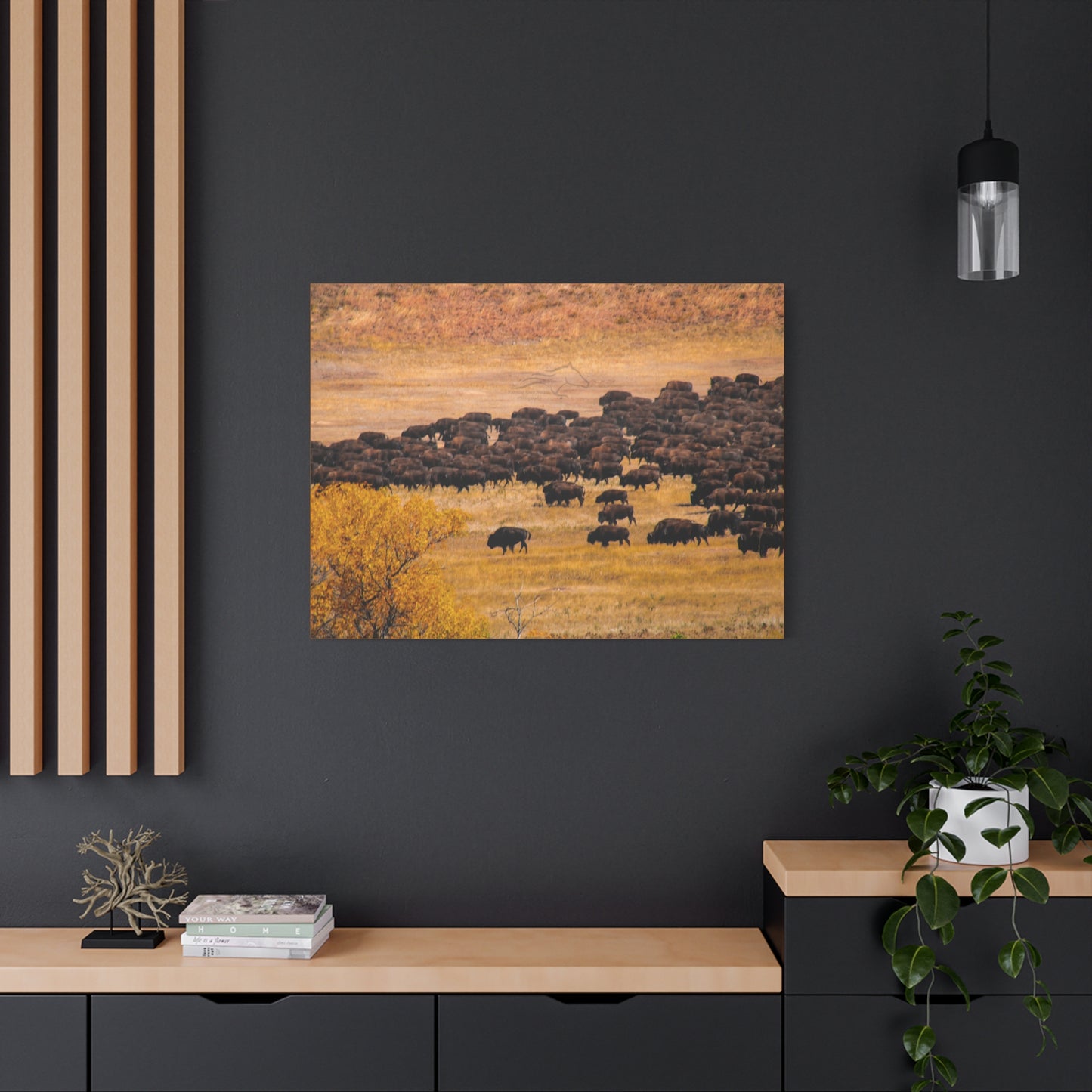Buffalo all Gathered Canvas
