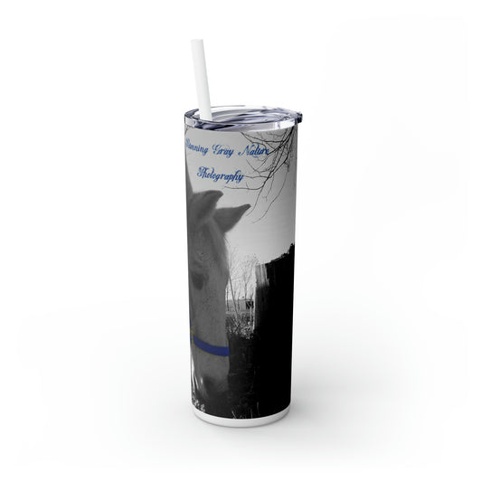 Running Gray Nature Photography Merch Skinny Tumbler with Straw, 20oz