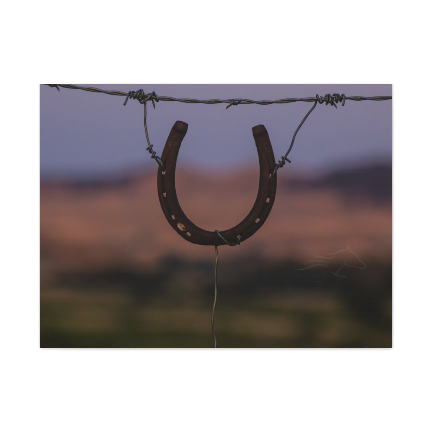 Rustic Horseshoe Canvas