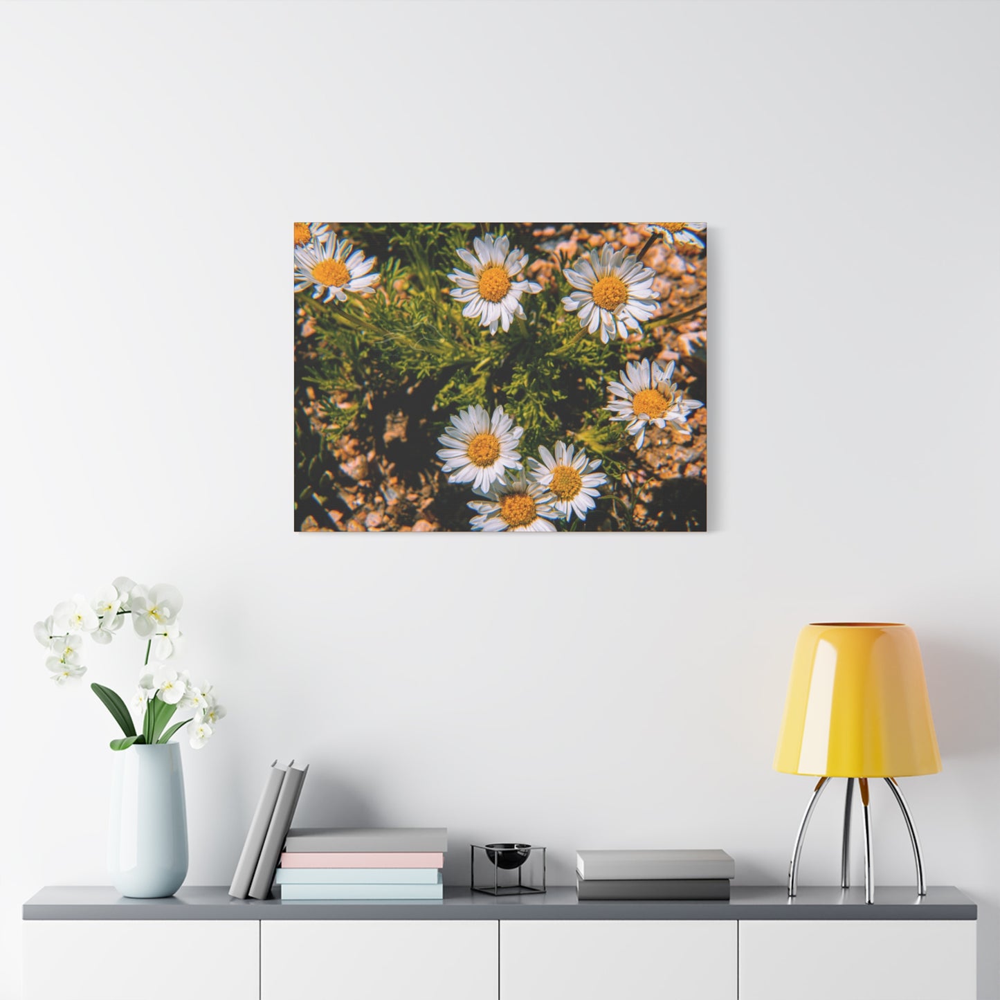 Wild Daisy Canvas