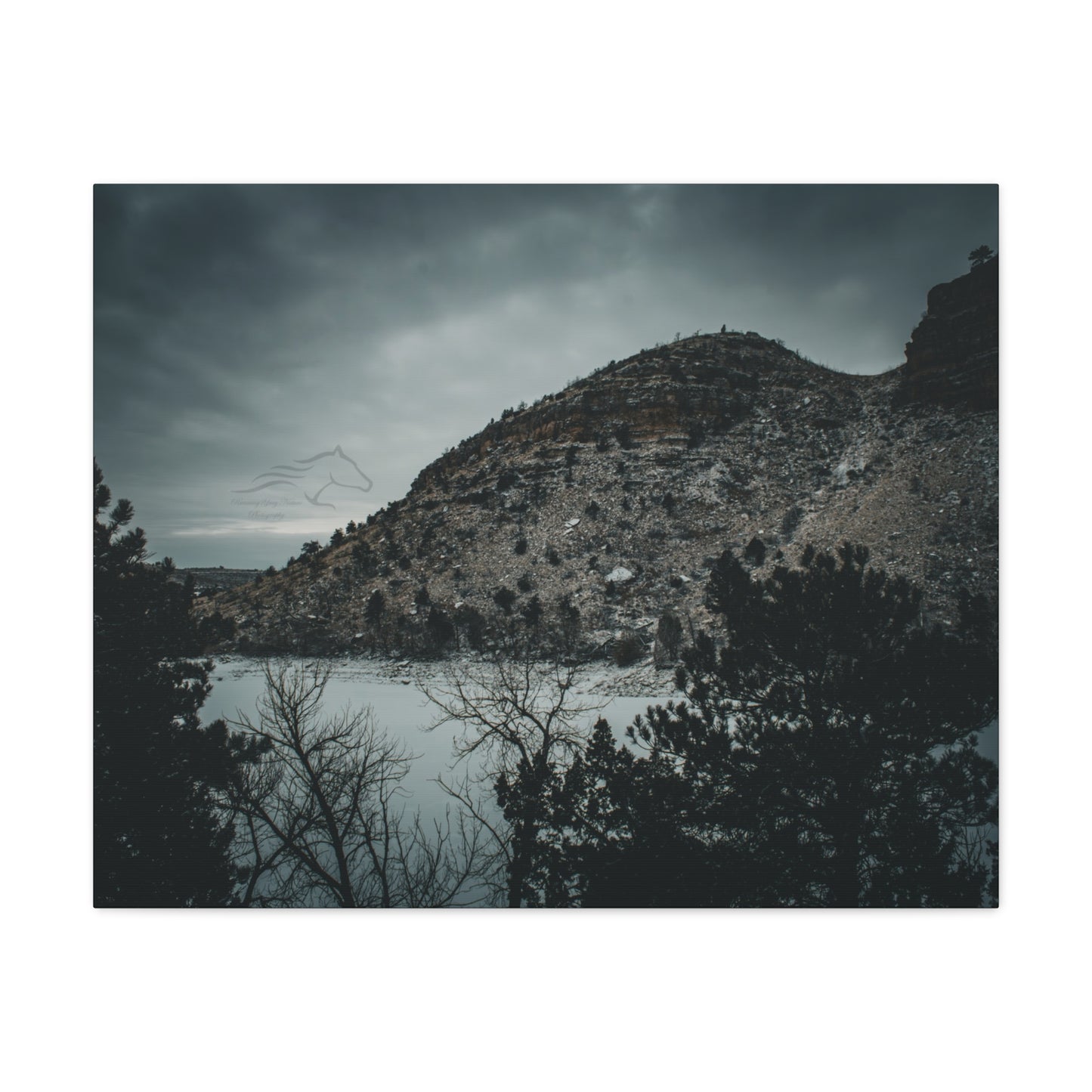 Moody Landscape Canvas