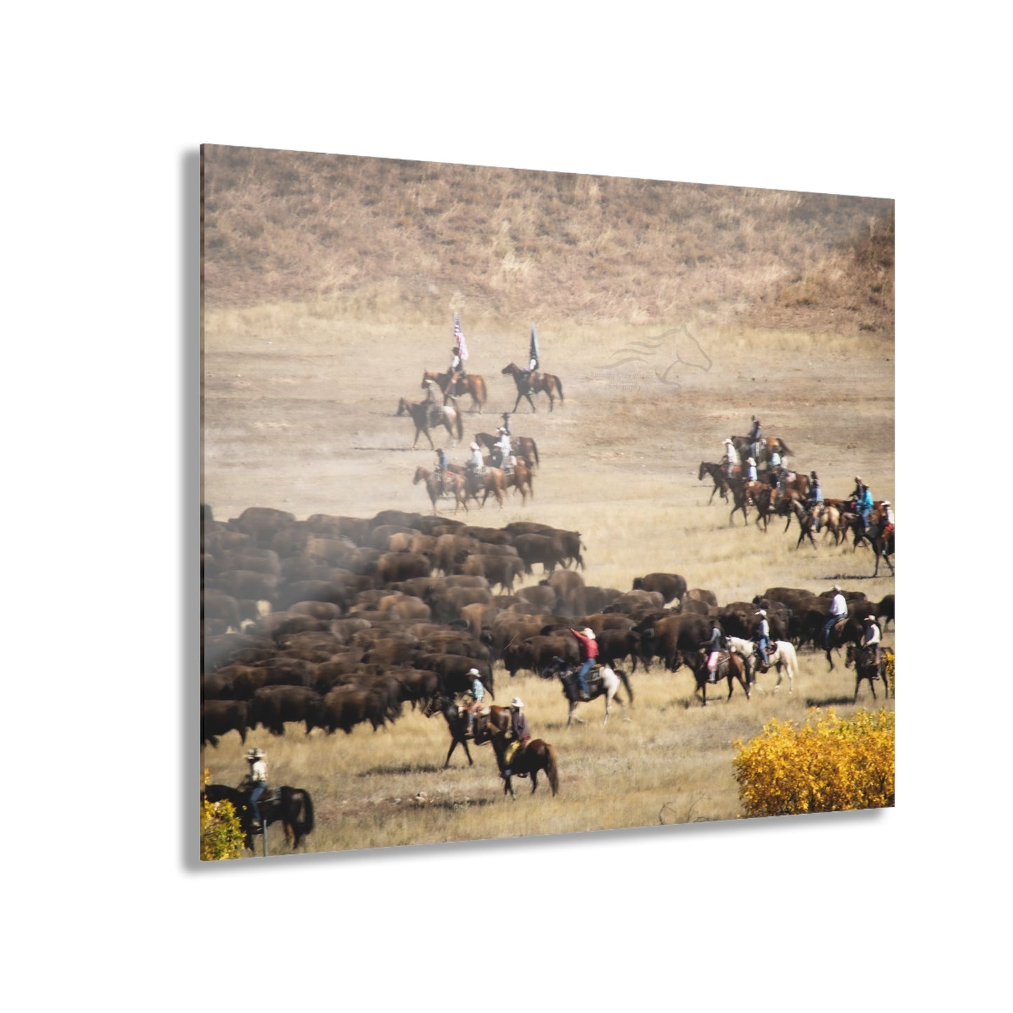 Cowboys and Buffalo Acrylic