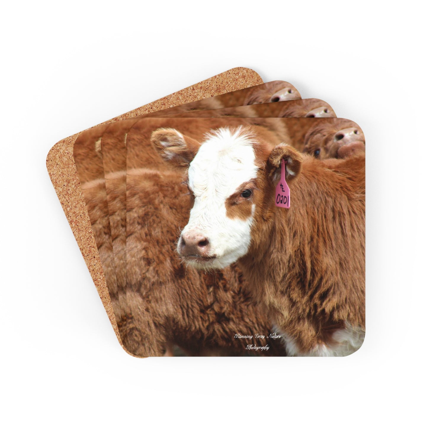 Red, White-Faced Calf Coasters