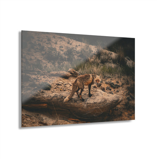 Rustic Fox Acrylic