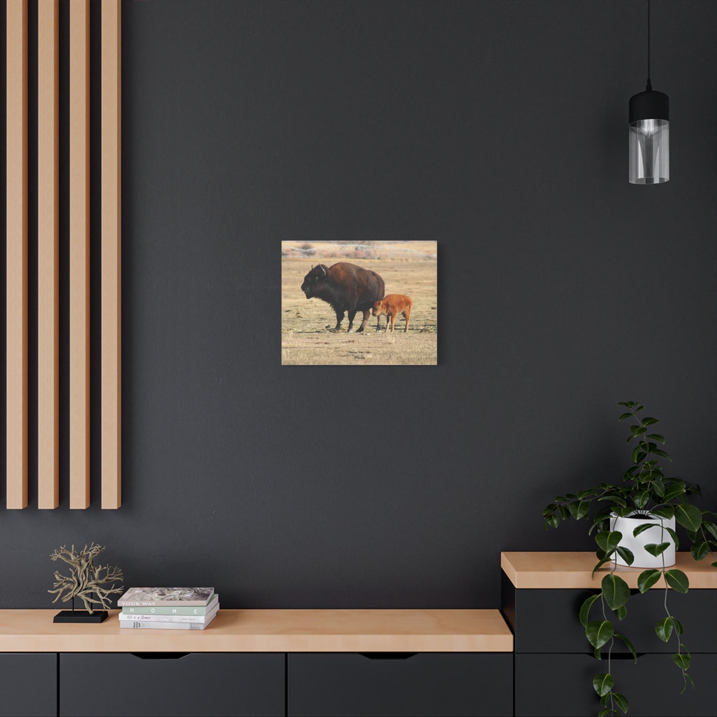 Momma and Baby Buffalo Matte Canvas, Stretched, 1.25"