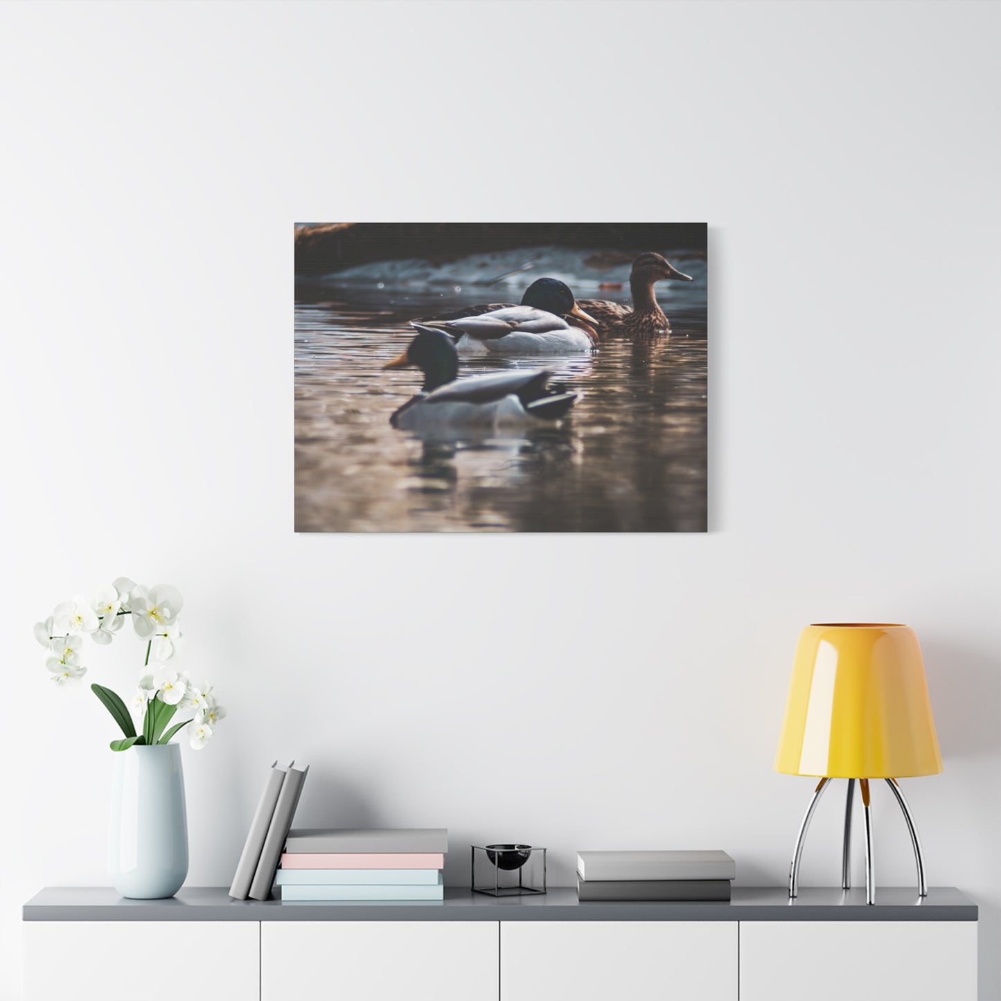 Mallard Ducks Canvas