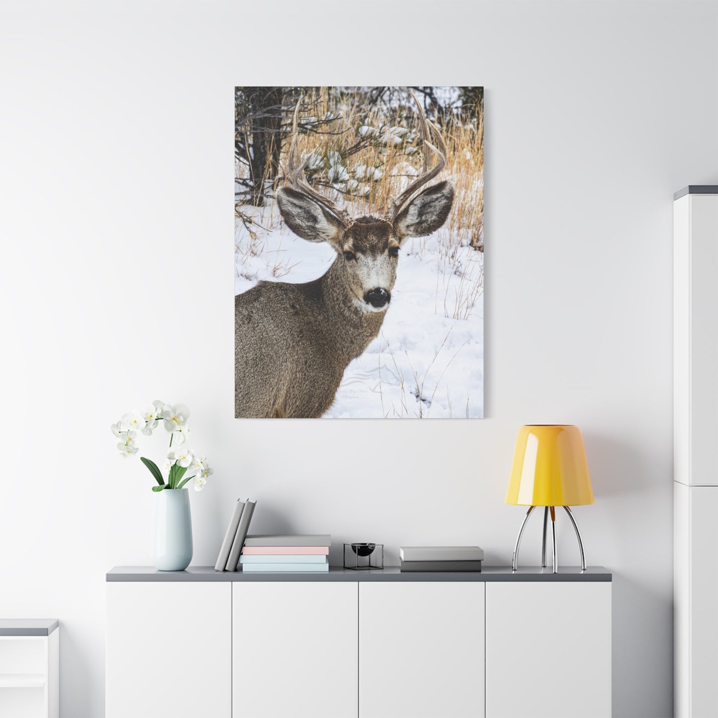 Deer Antlers in February Canvas