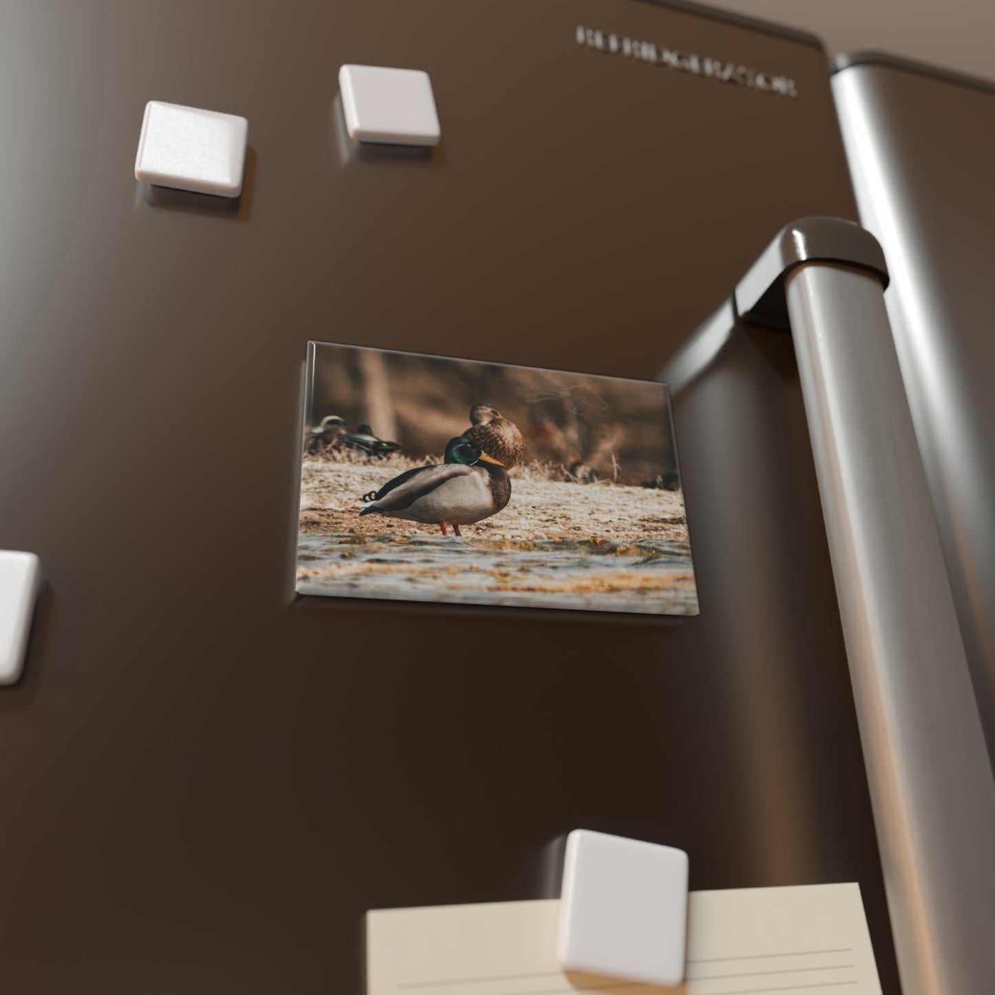 Nature-Inspired Duck Magnet