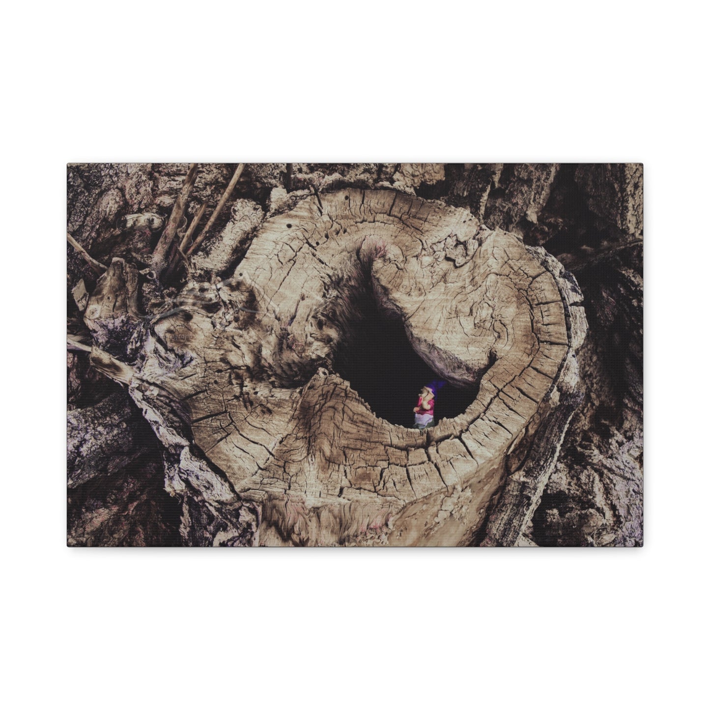 Fairy in a Tree Canvas