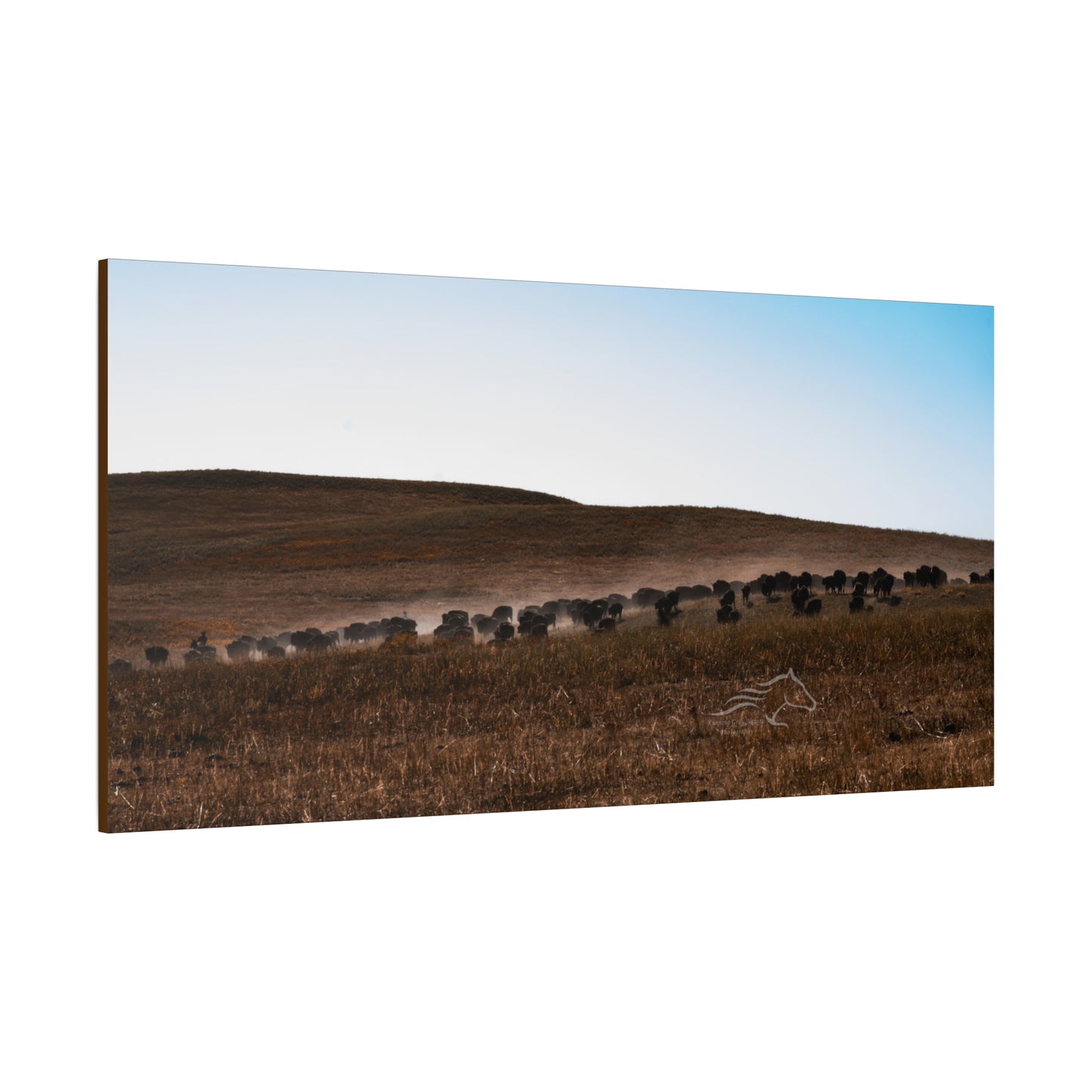 Buffalo Herd Canvas