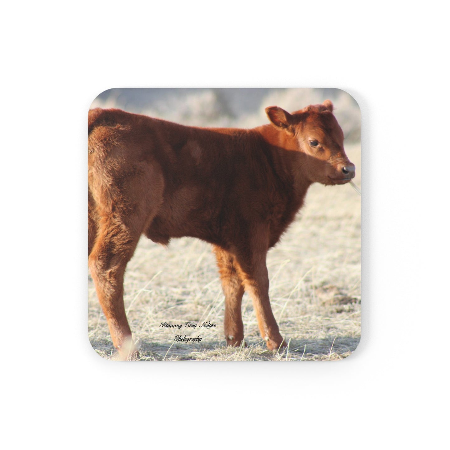 Baby Calf 198 Corkwood Coaster Set