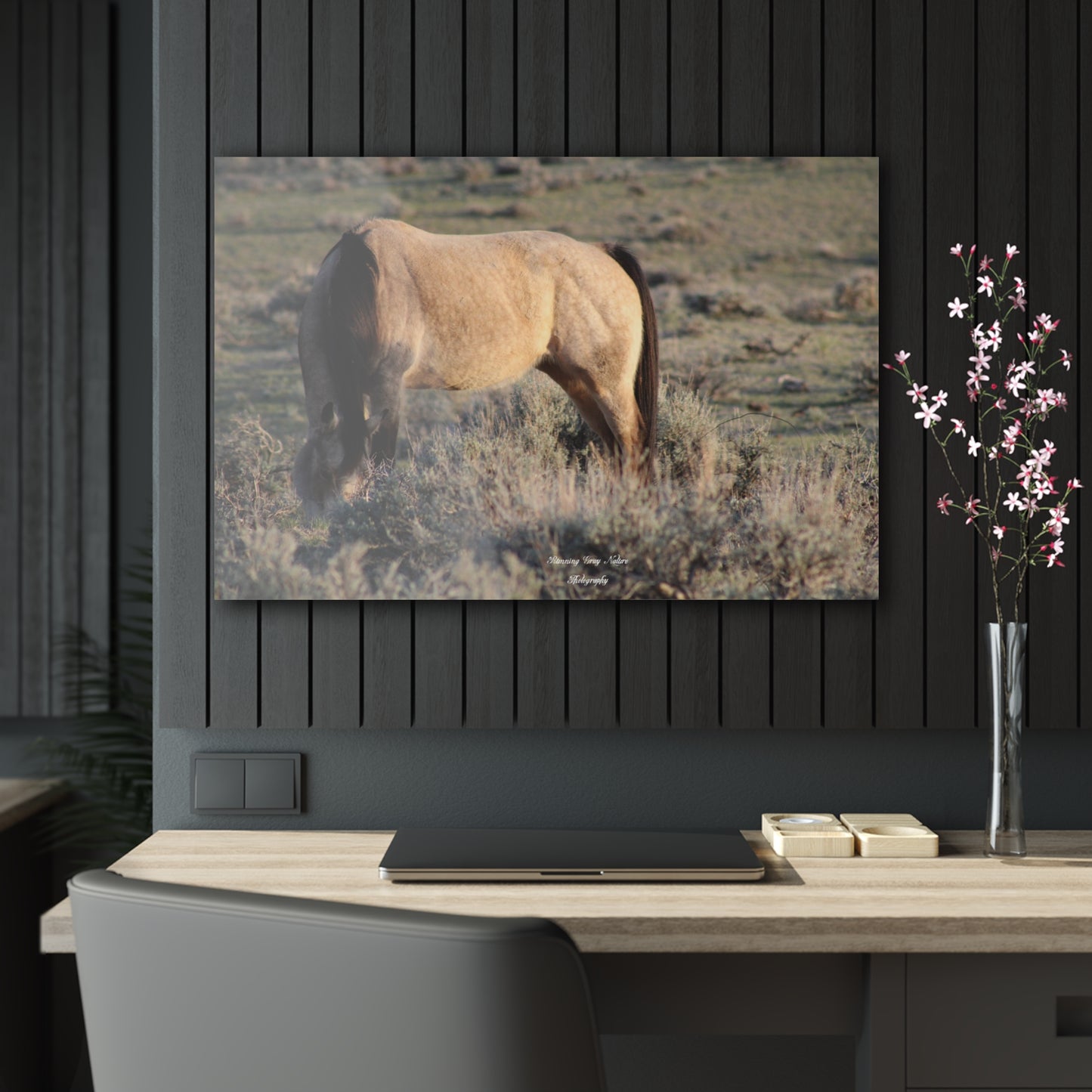 Buckskin Acrylic Prints