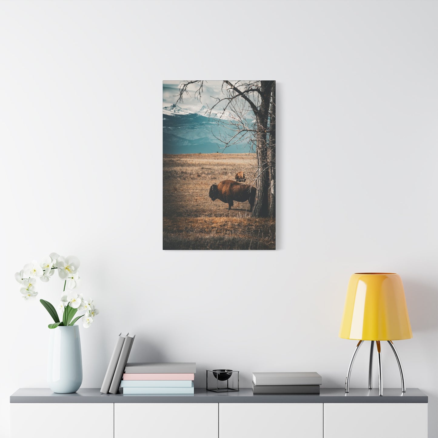 Rustic Bison Mountain Canvas