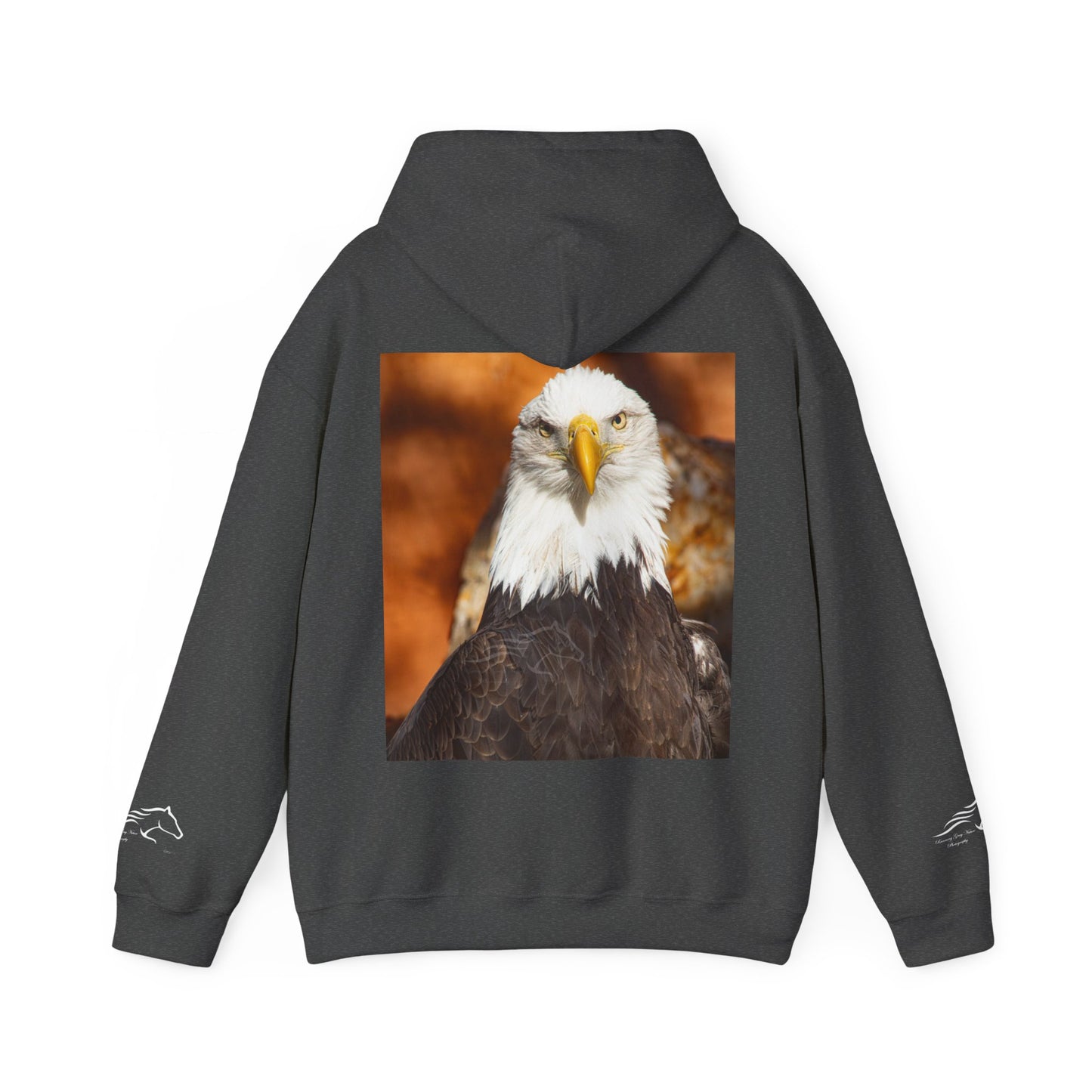 Bald Eagle Hoodie