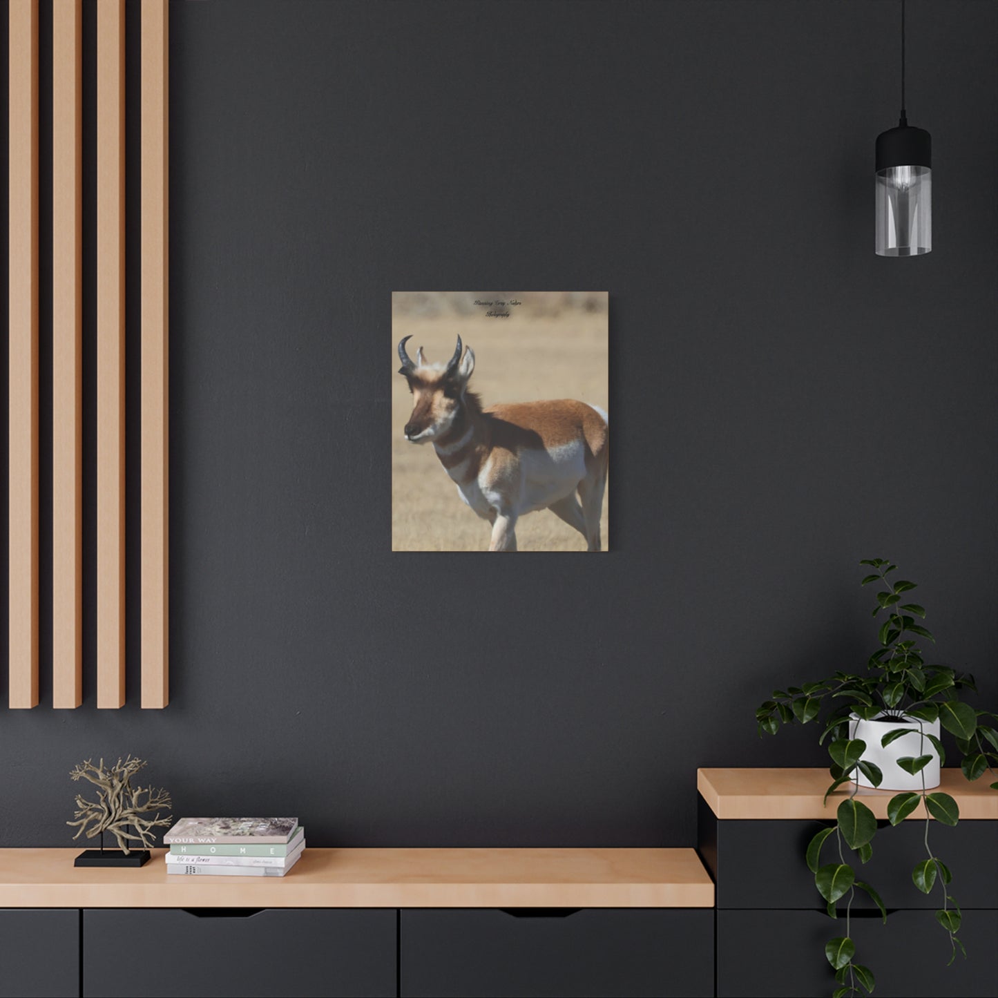 Wyoming Pronghorn Matte Canvas, Stretched, 1.25"