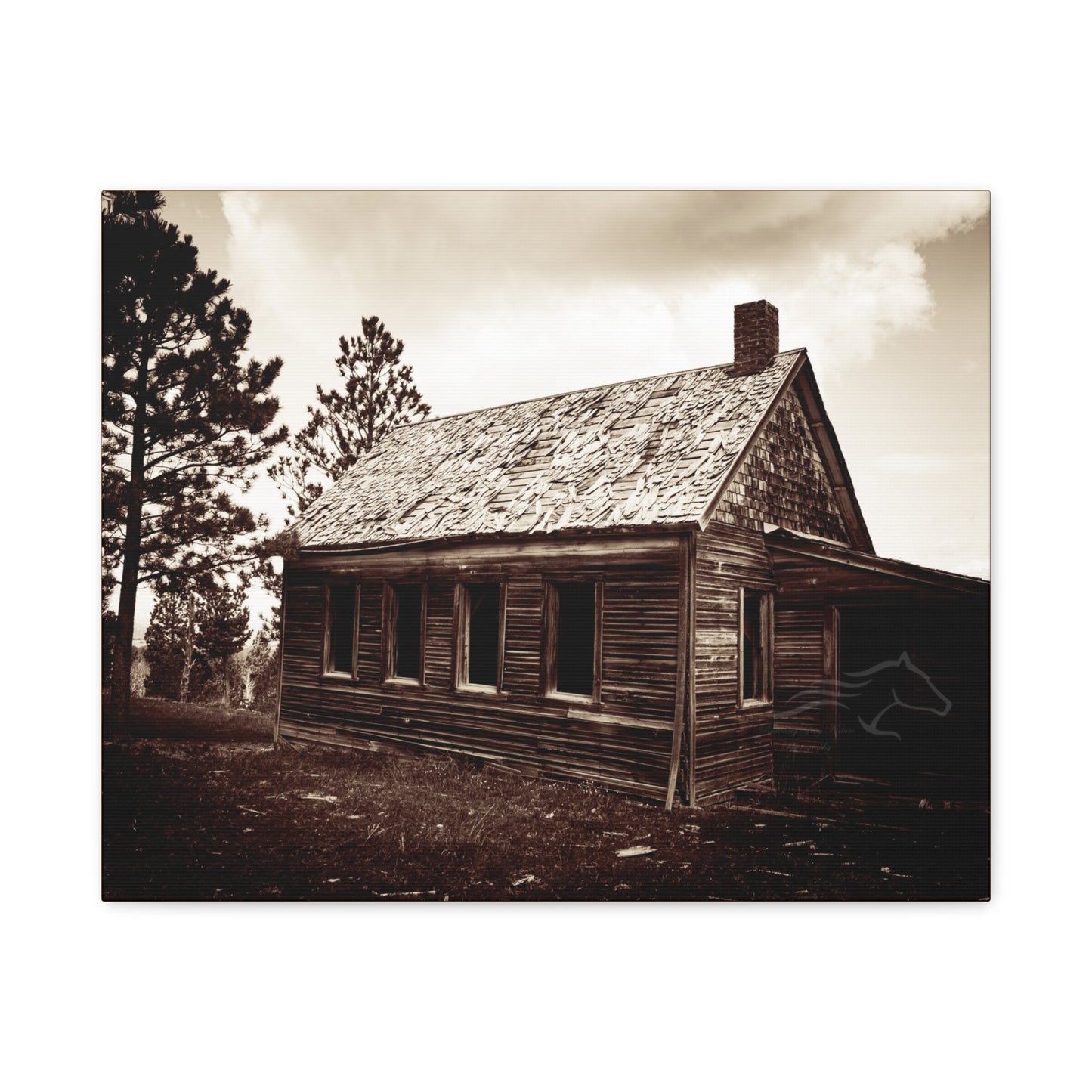 Rustic Bunk House Canvas