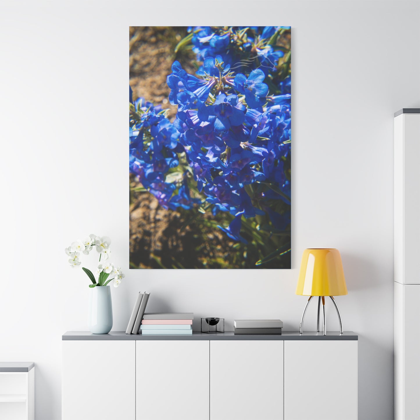 Rocky Mountain Beardtongue Canvas