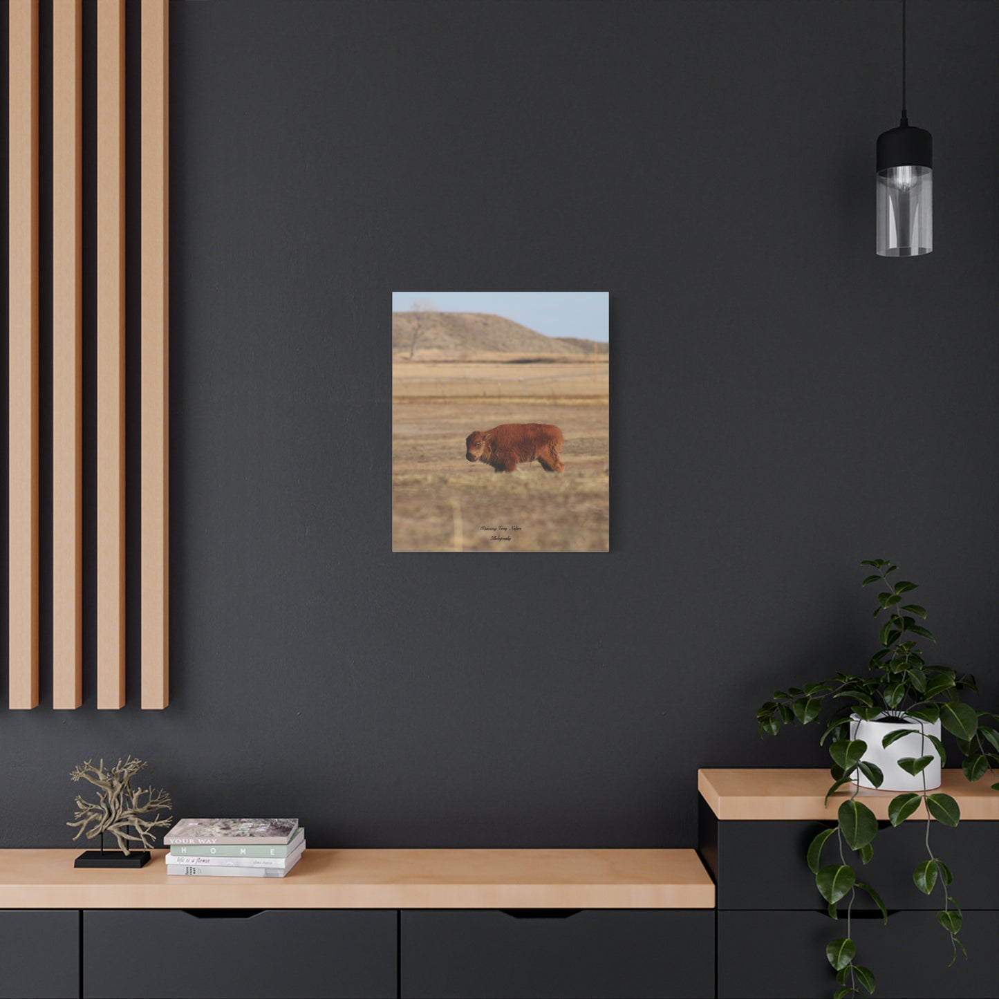 Baby Buffalo Matte Canvas, Stretched, 1.25"