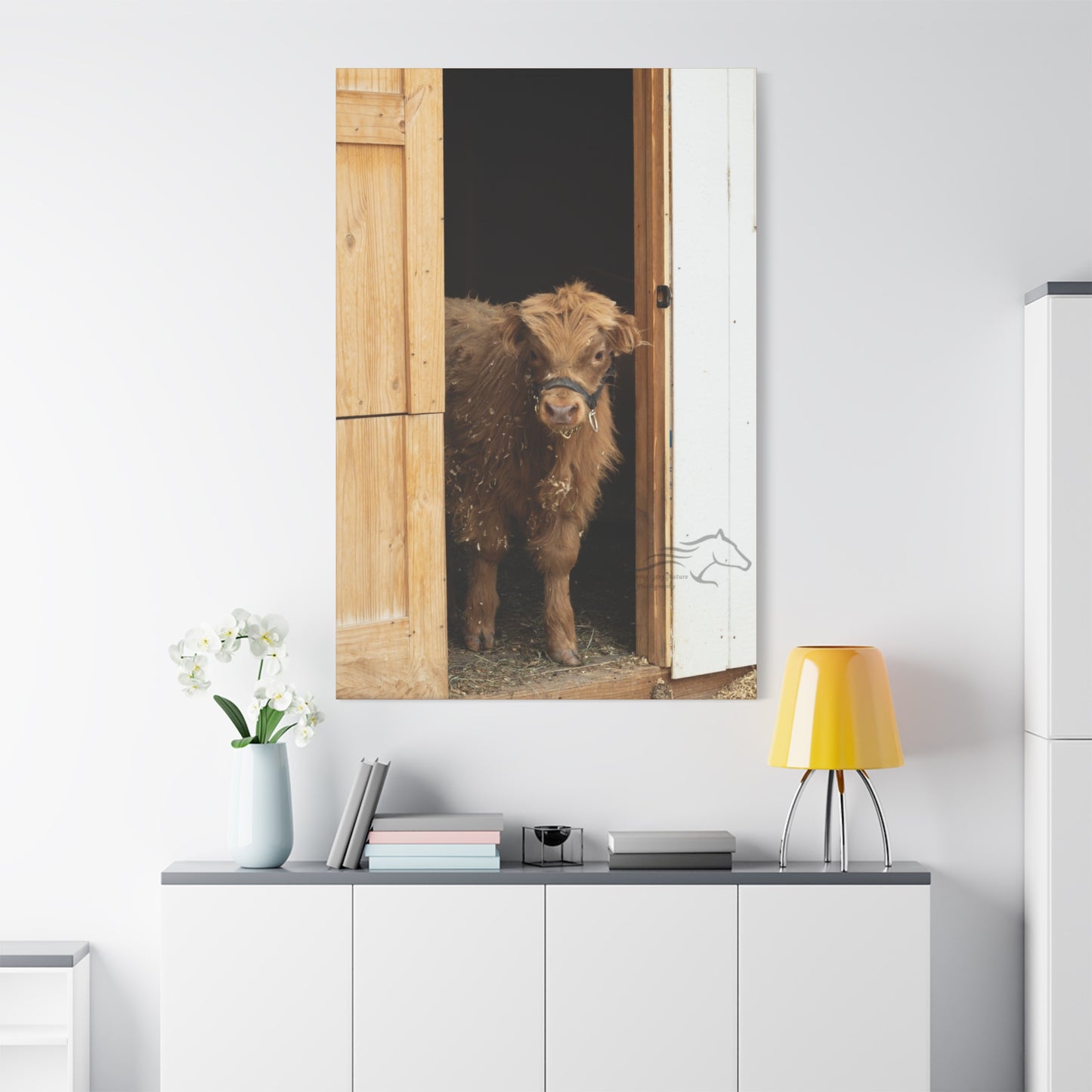 Little Highlander Canvas