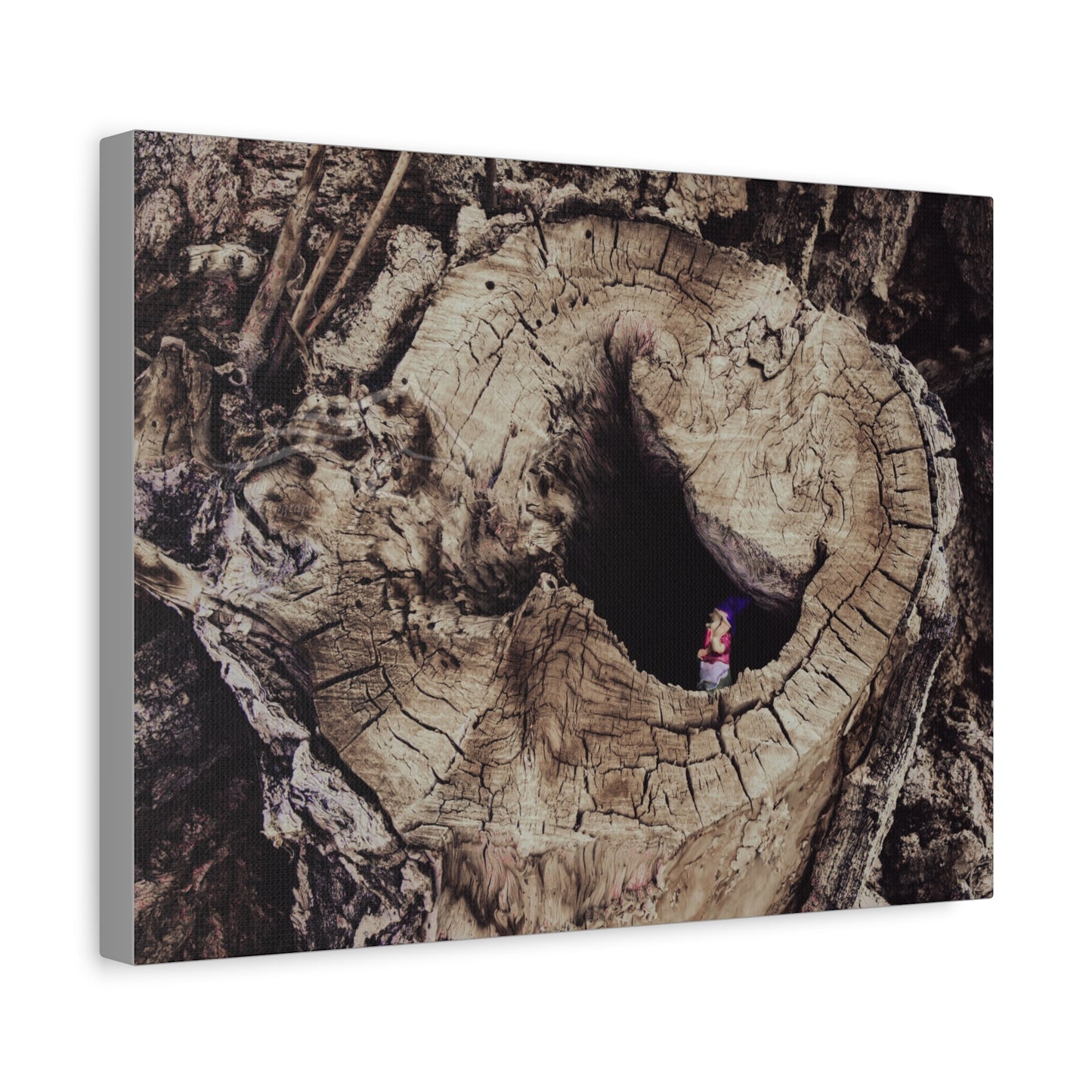 Fairy in a Tree Canvas