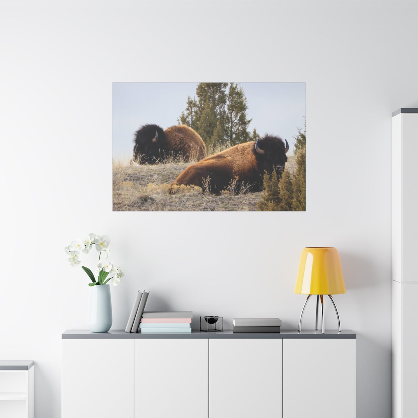 Two Bull Buffalo Canvas