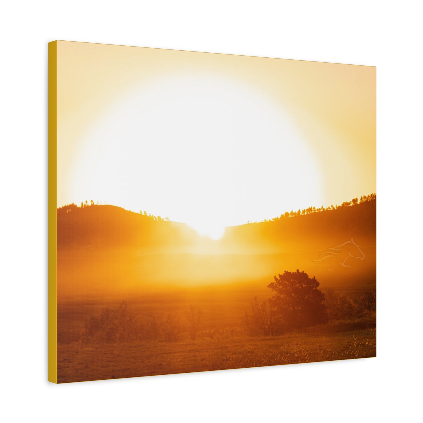 Buffalo Round Up Sunrise Canvas