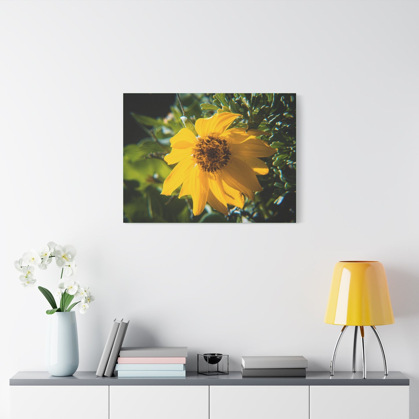 Arrowleaf Balsamroot Canvas